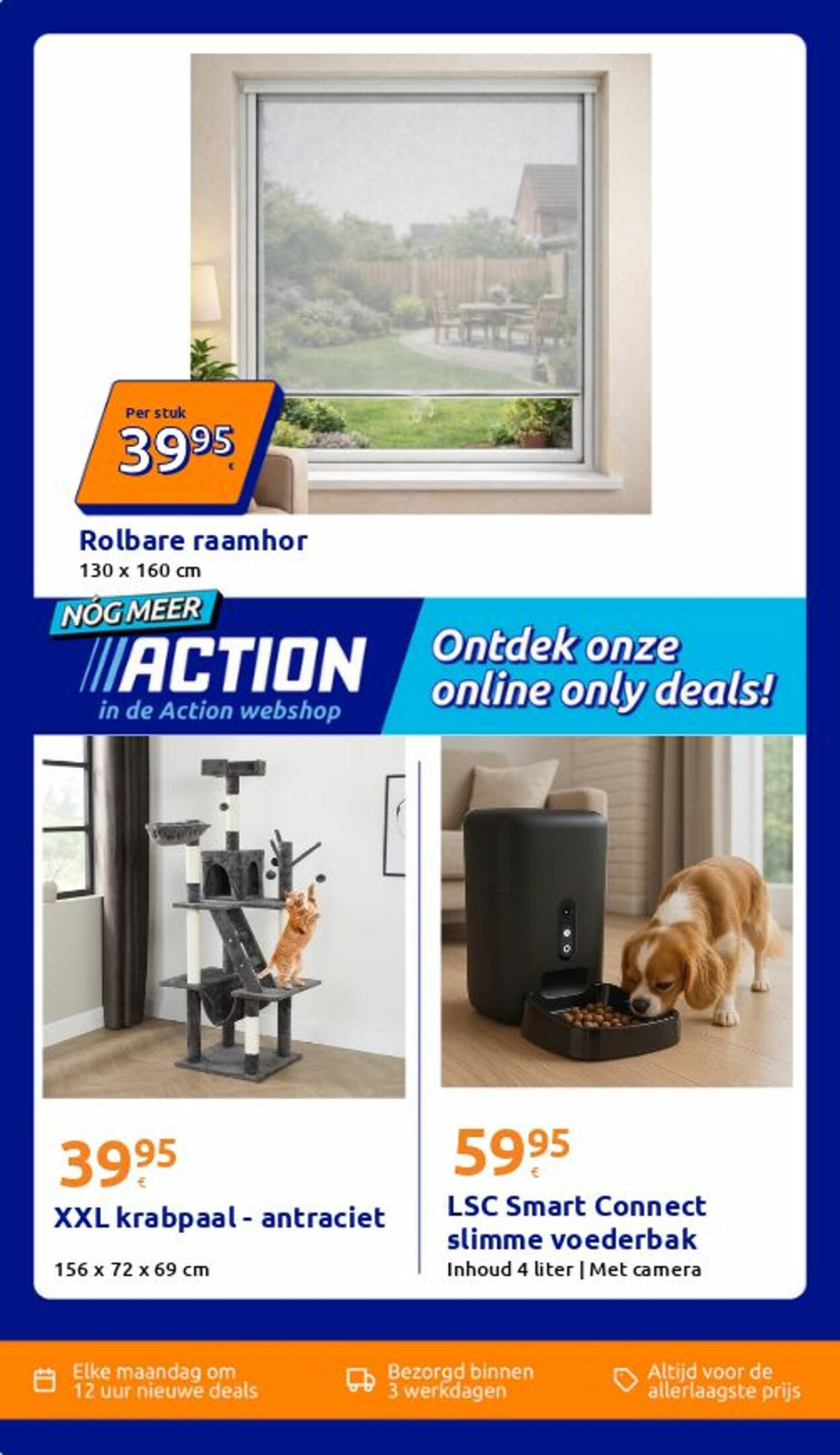 Folder Action 09.06.2026 - 17.06.2026