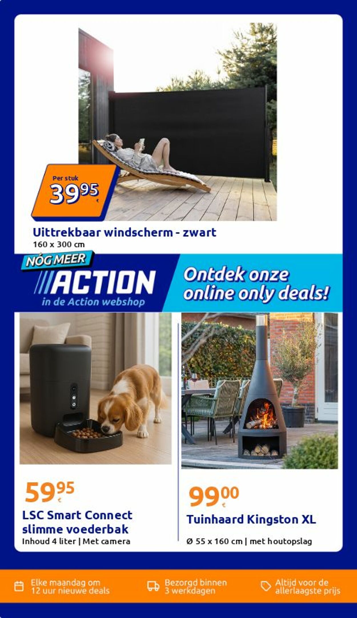 Folder Action 16.06.2026 - 24.06.2026