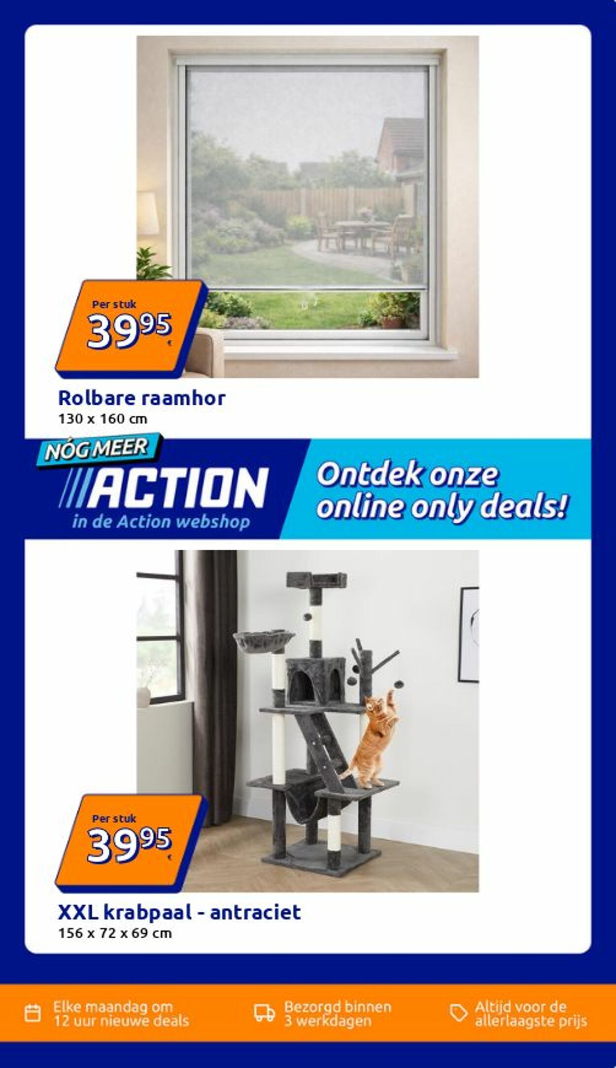 Folder Action 16.06.2026 - 24.06.2026
