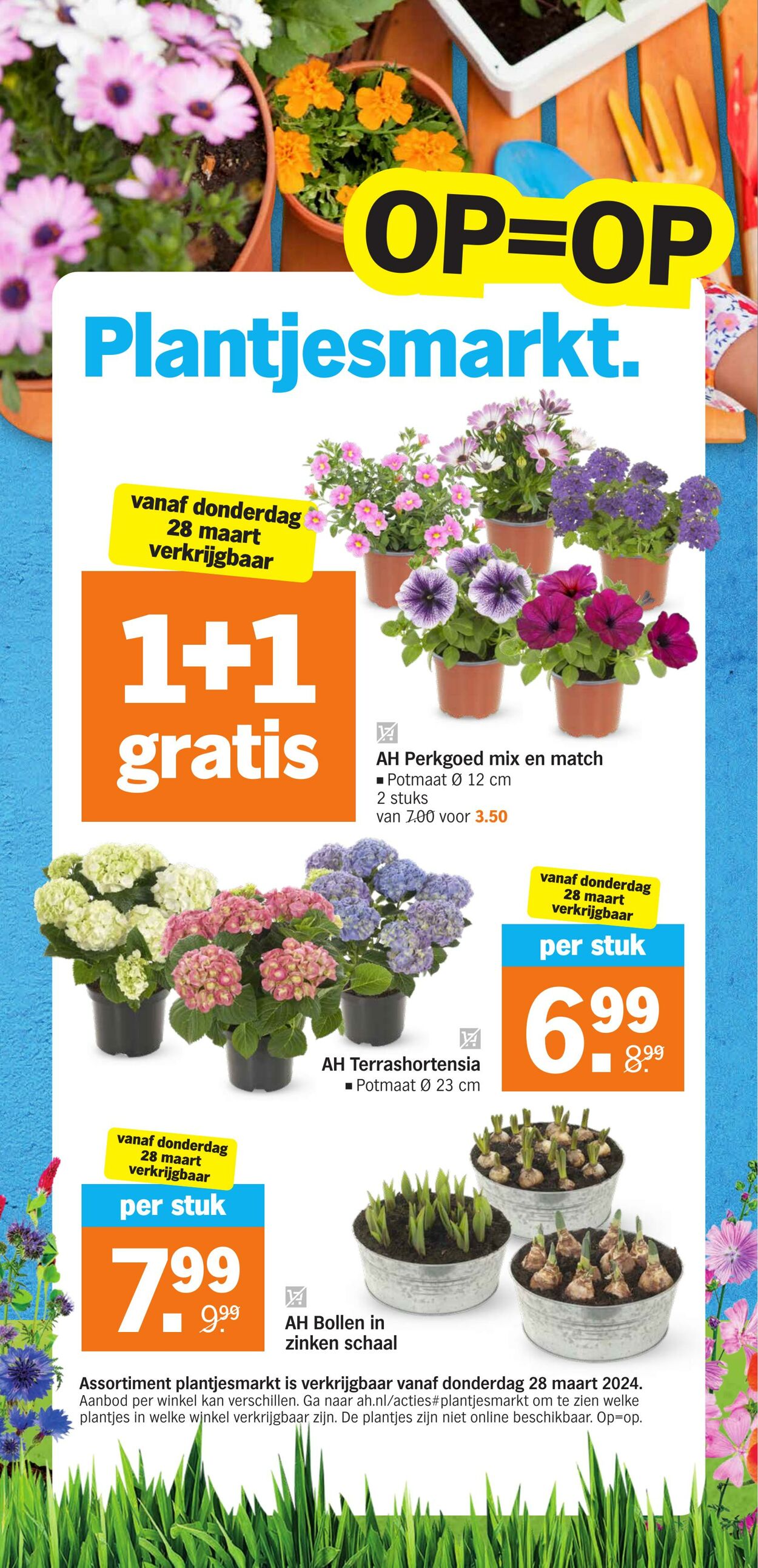 Folder Albert Heijn 25.03.2024 - 31.03.2024