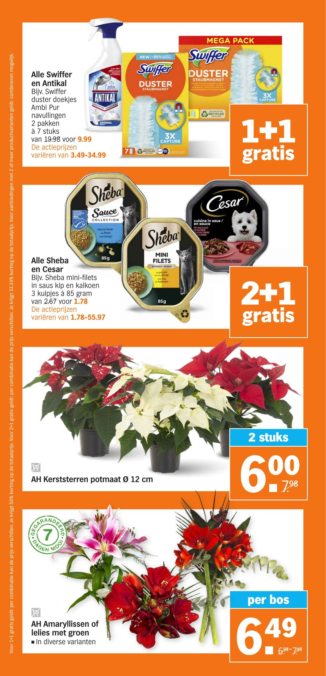 Folder Albert Heijn 25.11.2024 - 01.12.2024