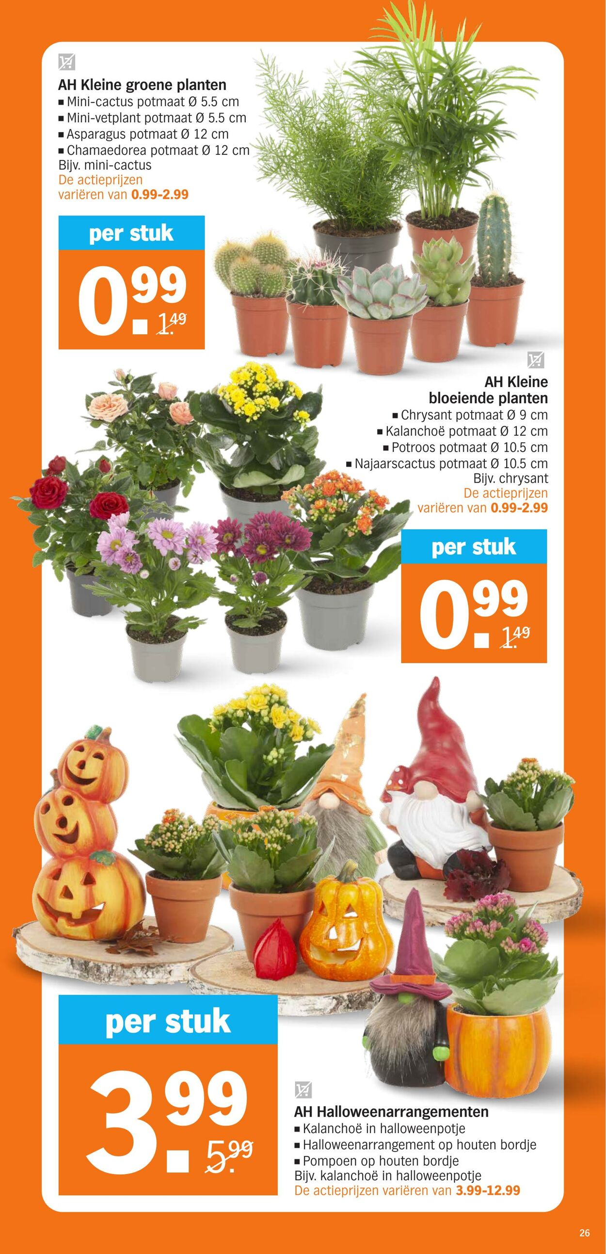 Folder Albert Heijn 14.10.2024 - 20.10.2024