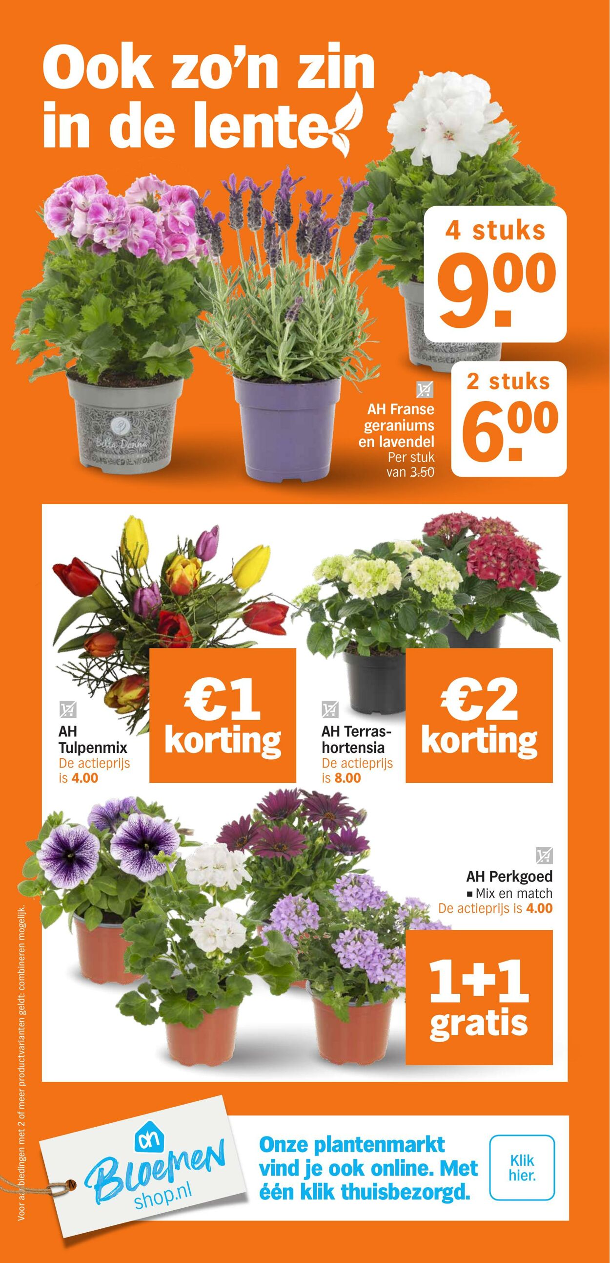Folder Albert Heijn 23.03.2026 - 29.03.2026