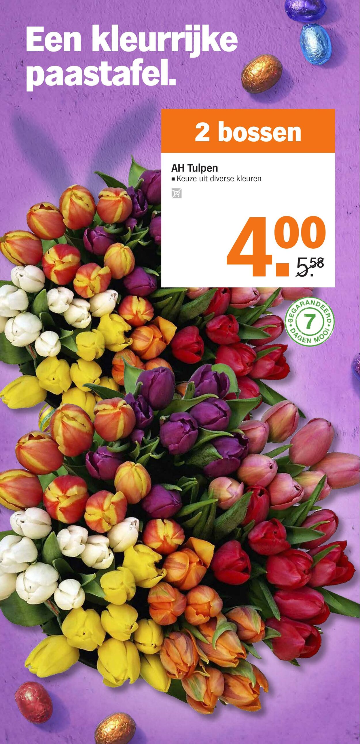 Folder Albert Heijn 03.04.2023 - 10.04.2023