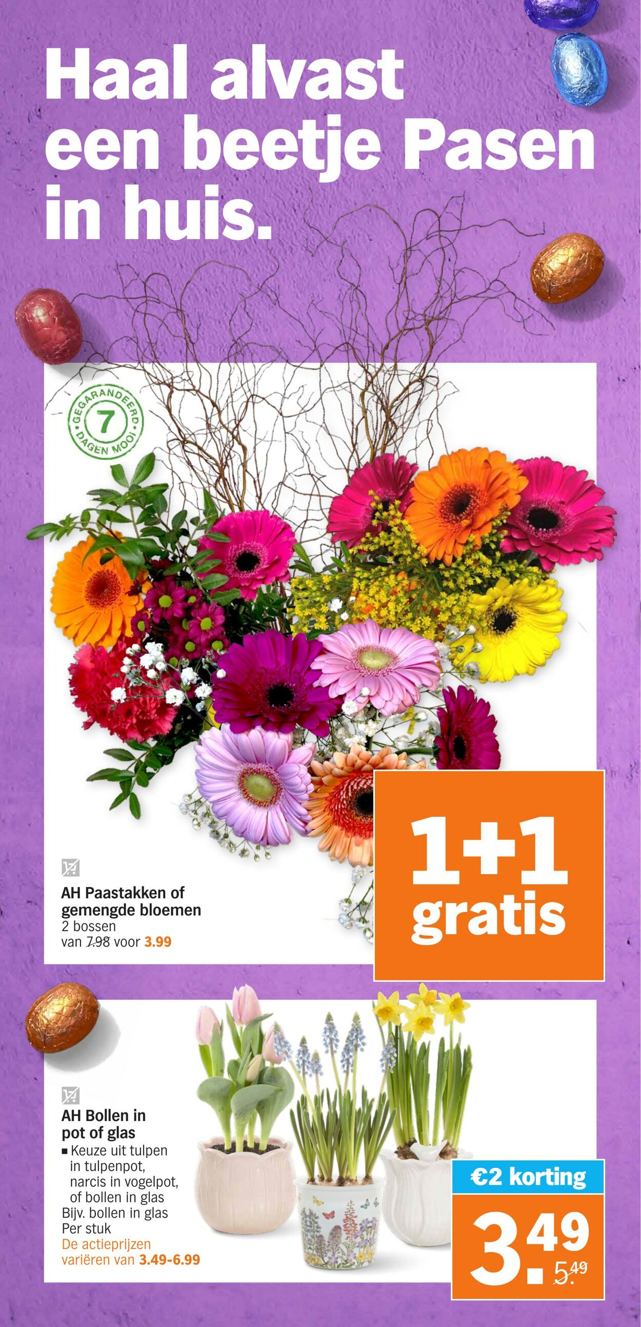 Folder Albert Heijn 11.03.2024 - 17.03.2024