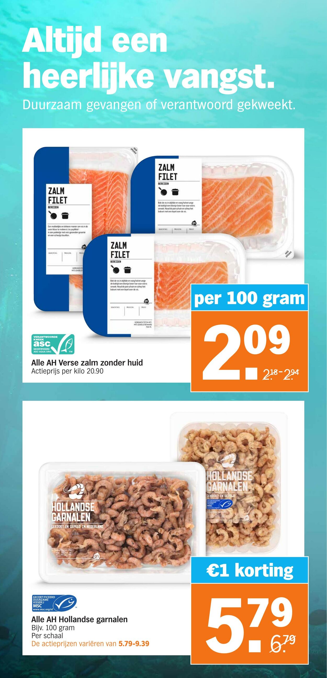 Folder Albert Heijn 05.09.2022 - 11.09.2022