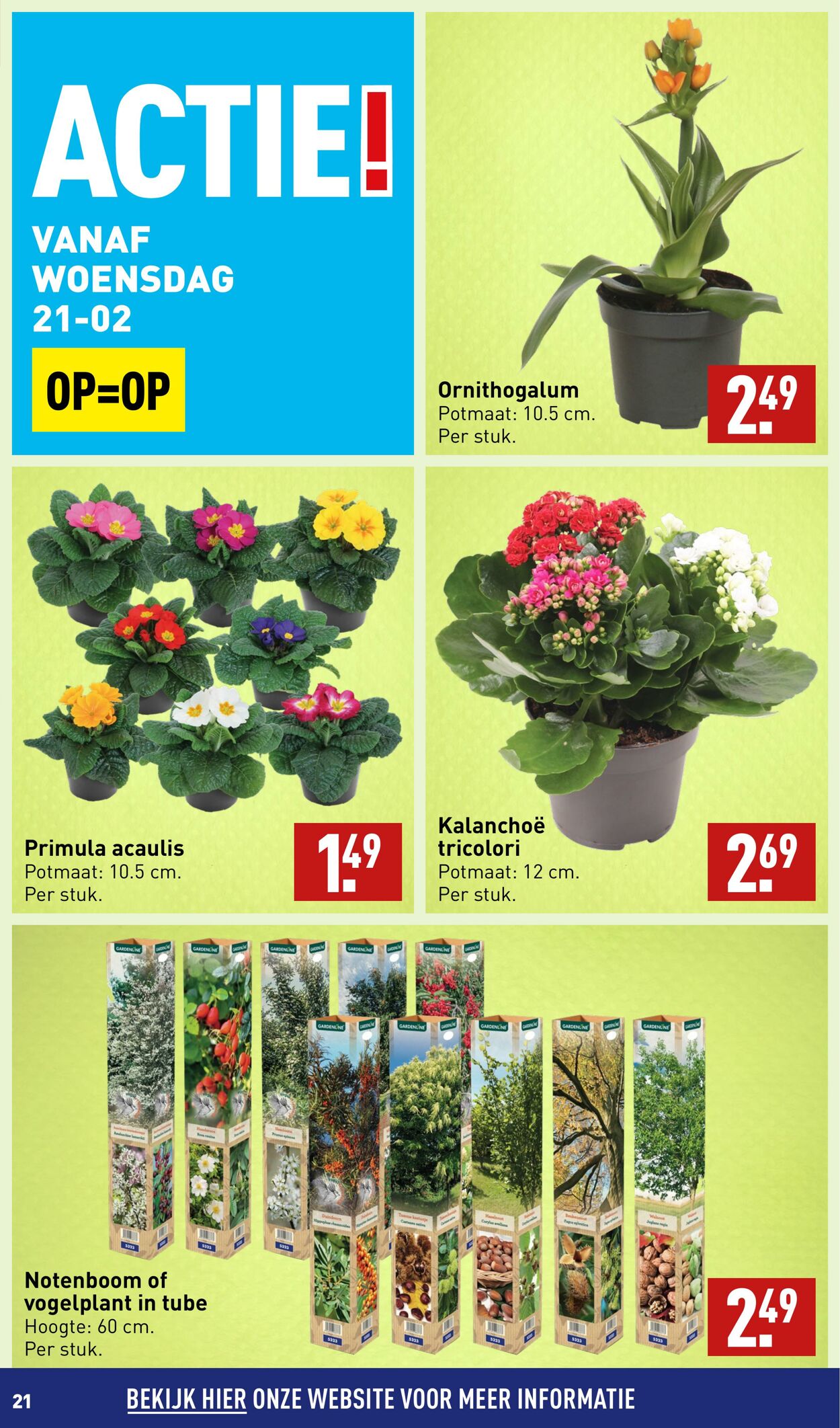 Folder Aldi 19.02.2024 - 25.02.2024