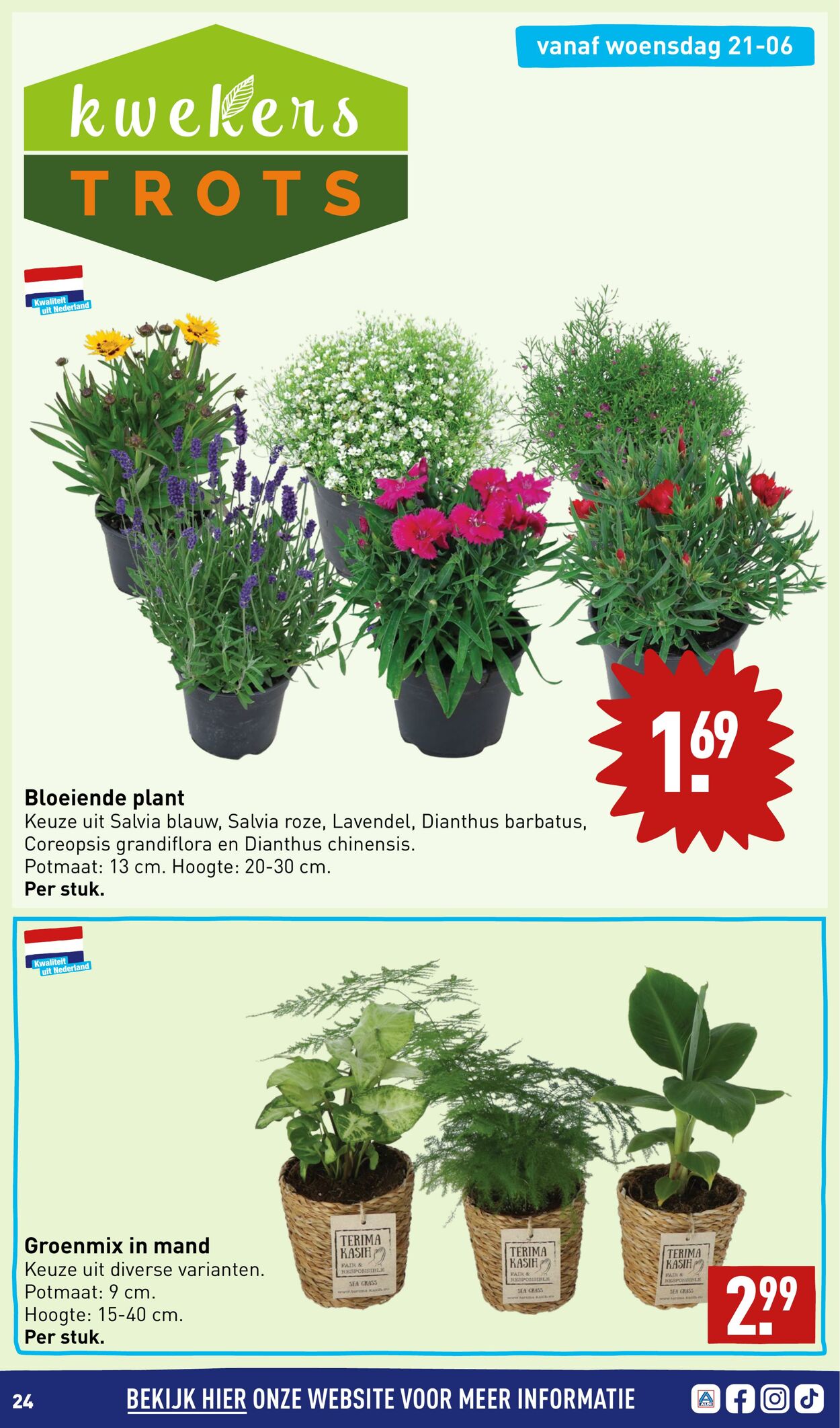 Folder Aldi 19.06.2023 - 25.06.2023