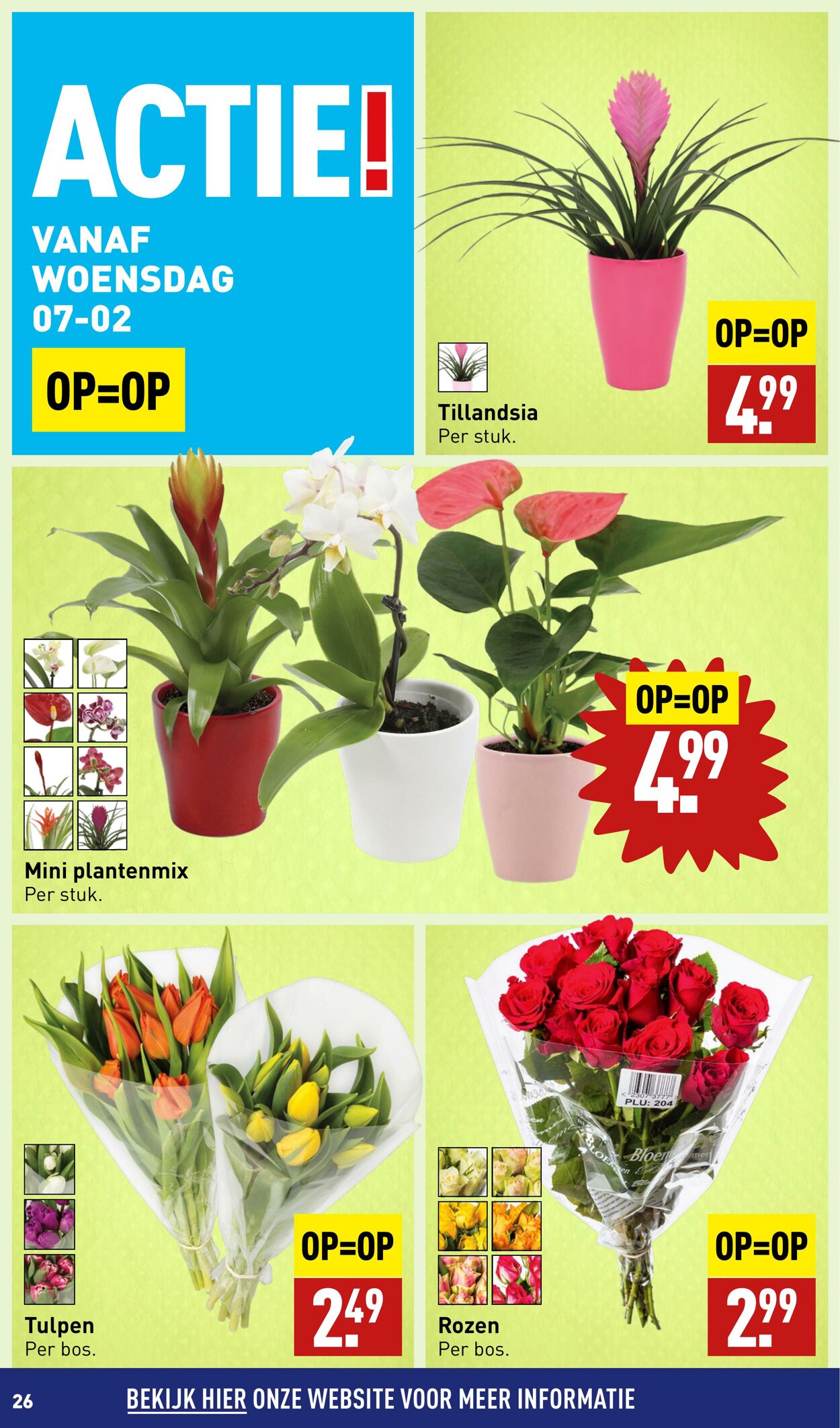 Folder Aldi 29.01.2024 - 04.02.2024