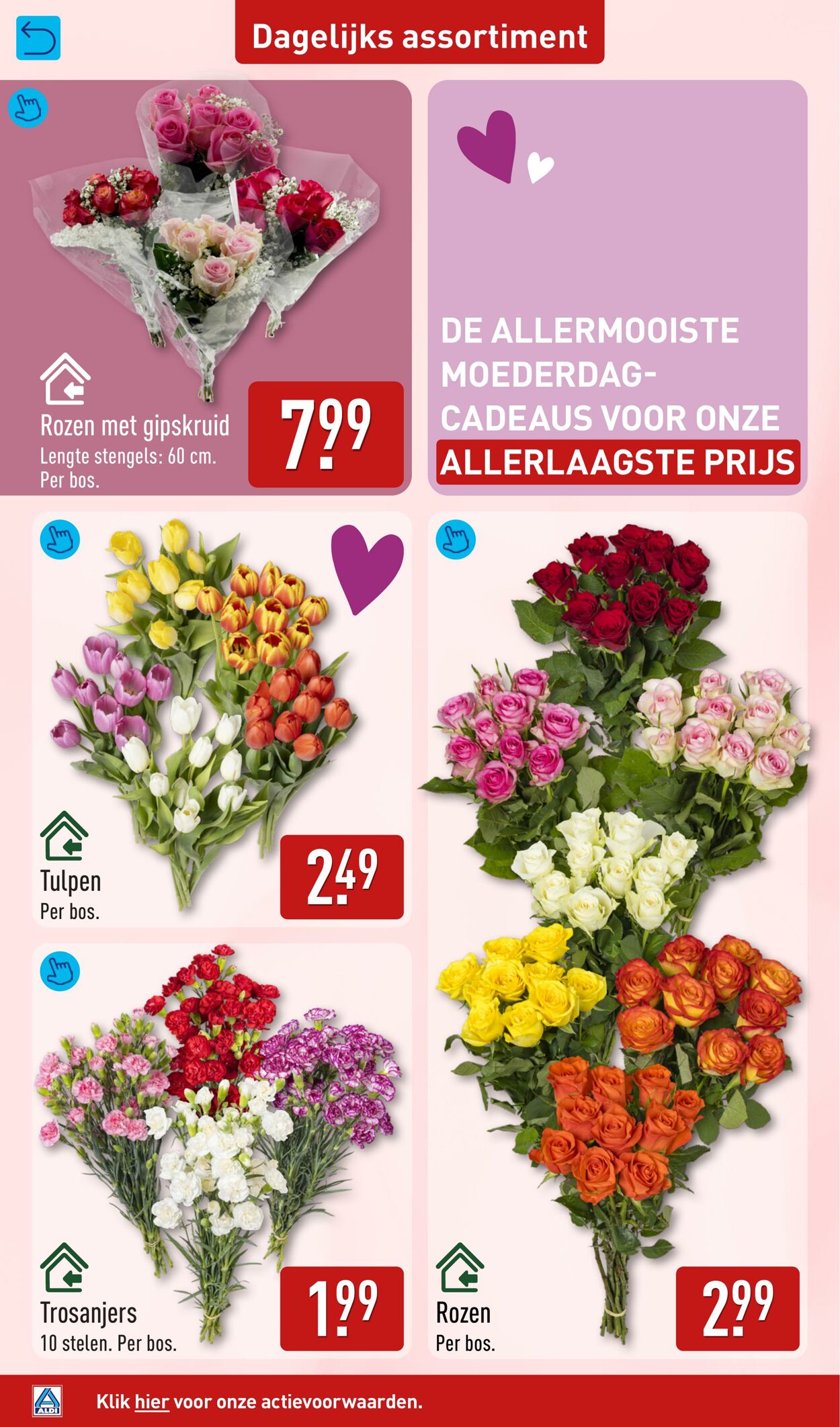 Folder Aldi 04.05.2026 - 10.05.2026