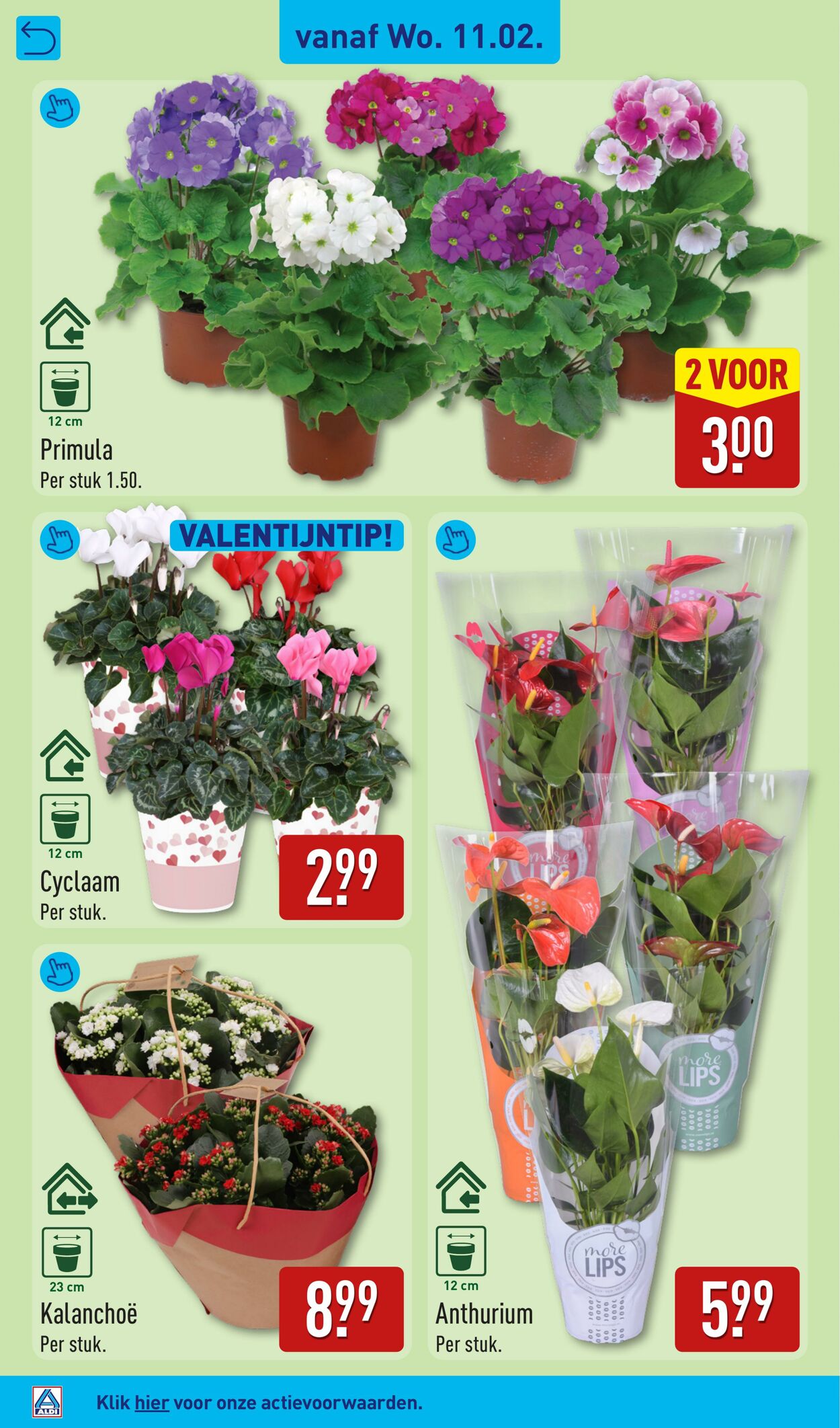 Folder Aldi 09.02.2026 - 15.02.2026