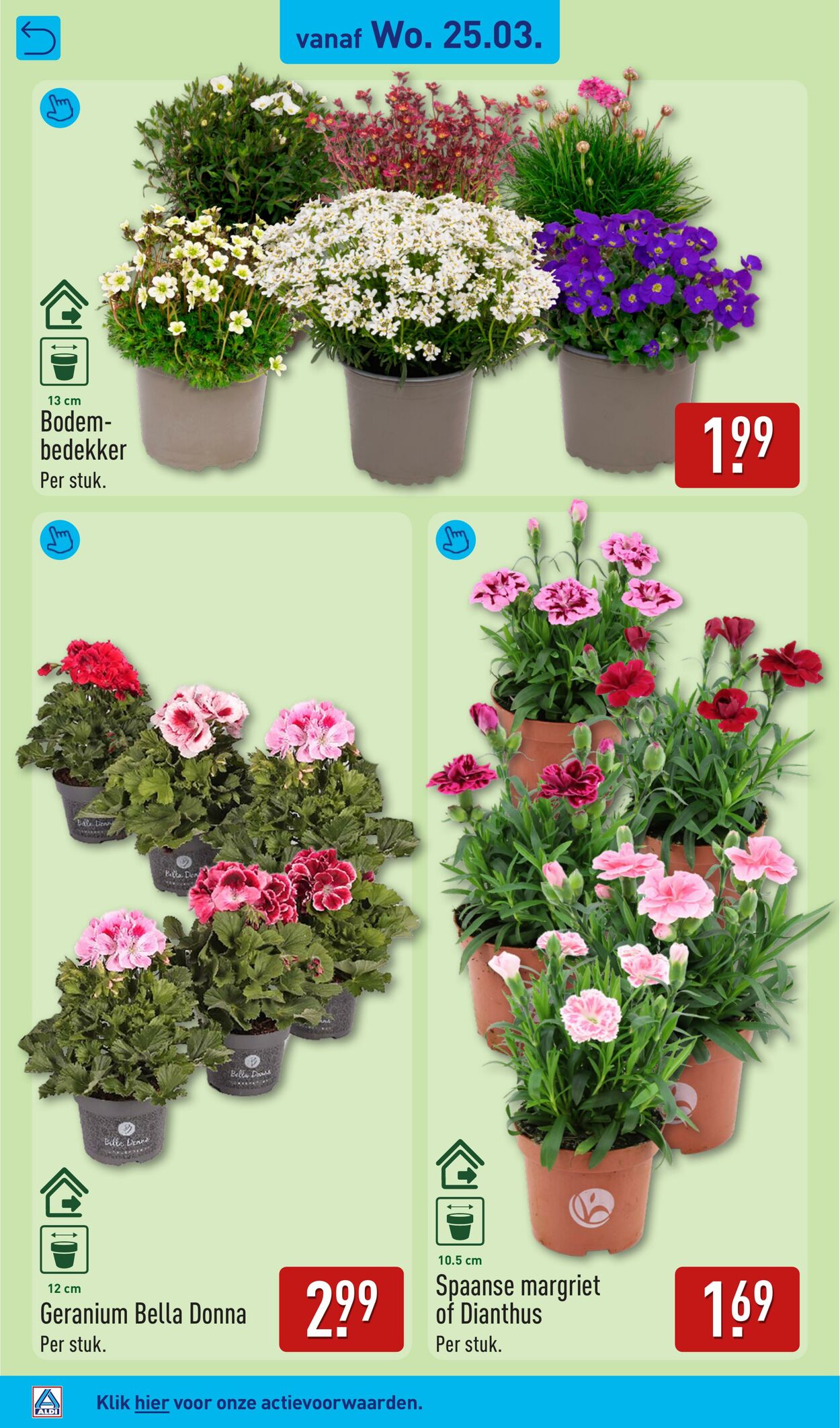 Folder Aldi 23.03.2026 - 29.03.2026