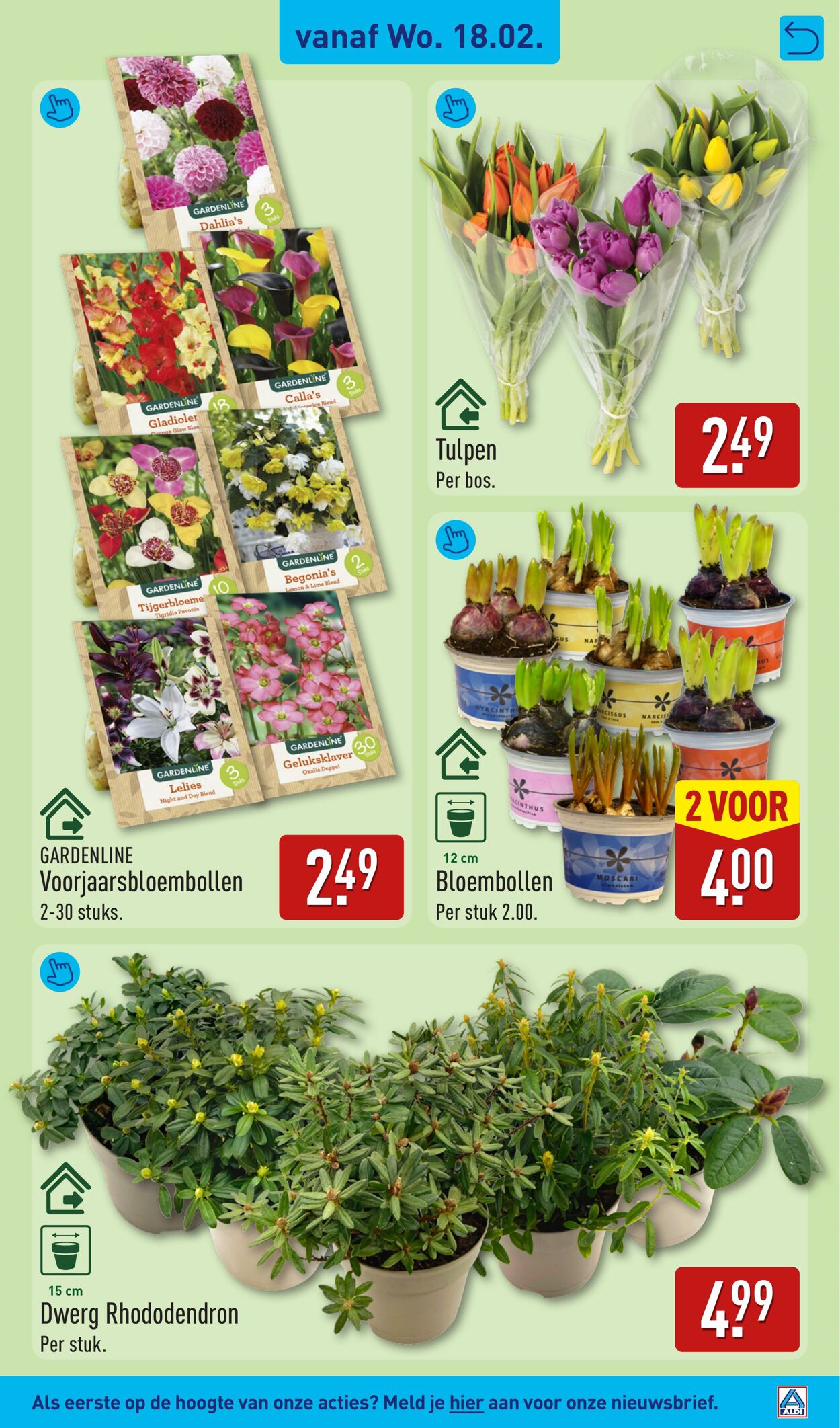 Folder Aldi 18.02.2026 - 22.02.2026