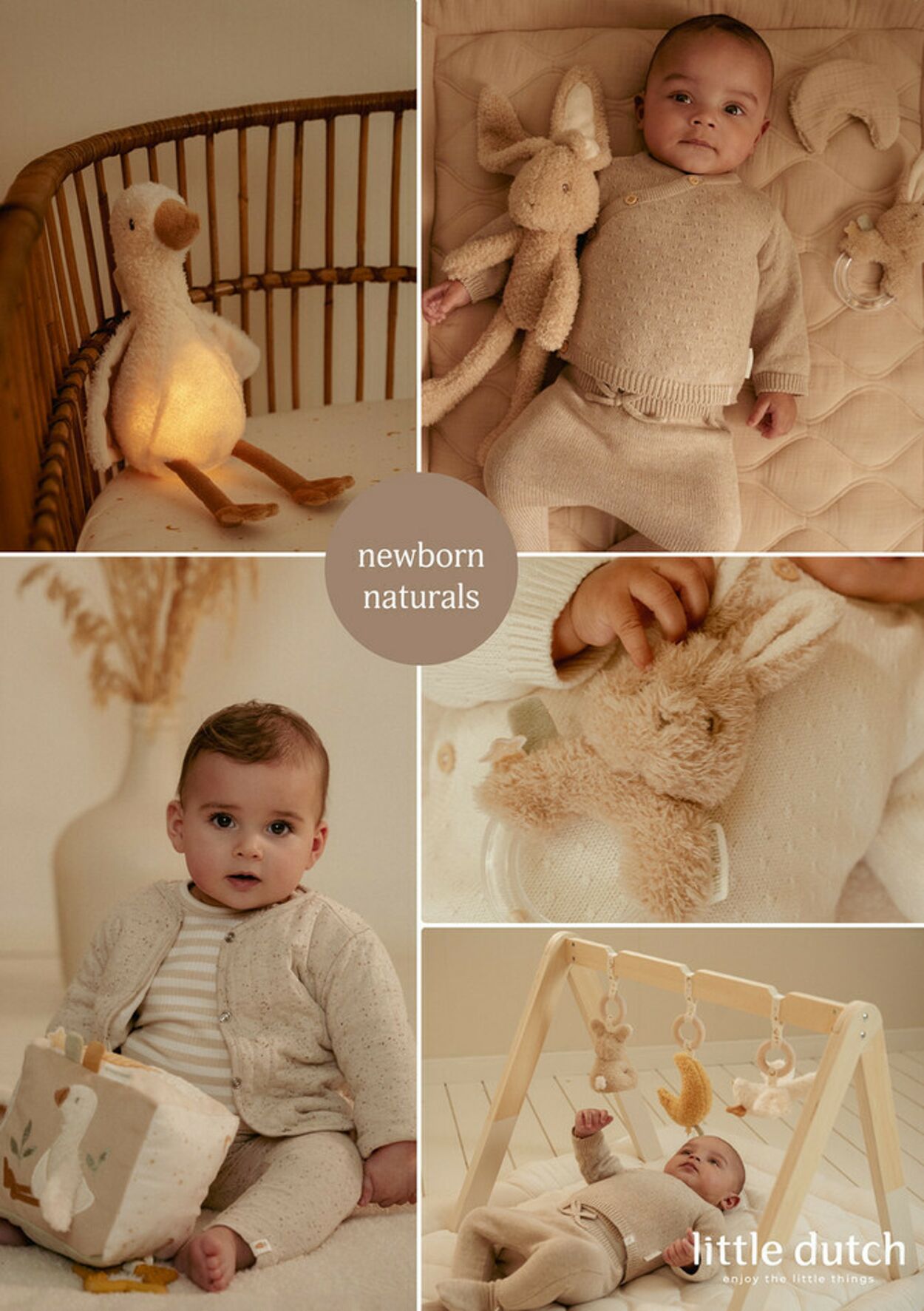 Folder Baby-Dump 25.03.2026 - 02.04.2026