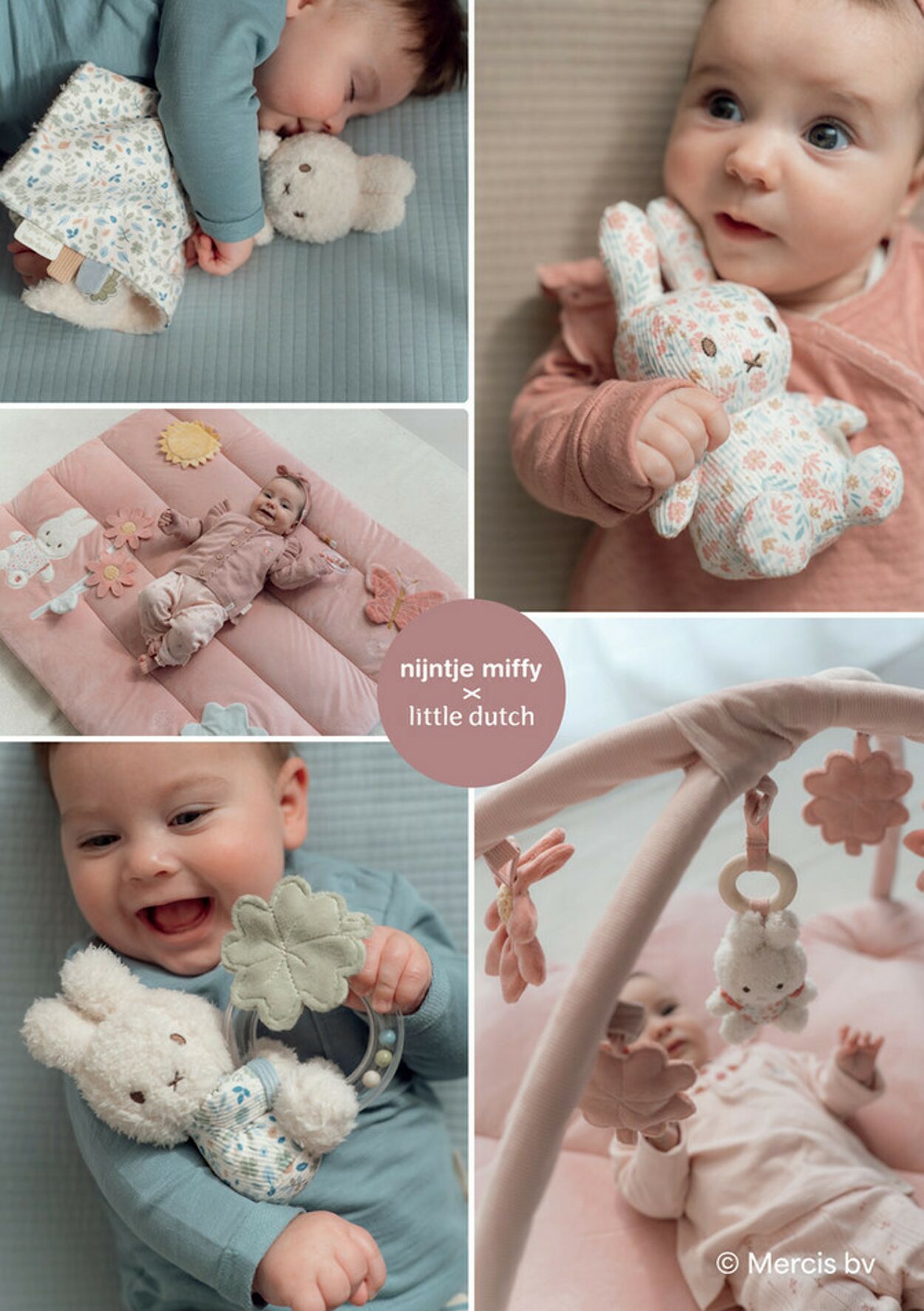 Folder Baby-Dump 02.07.2025 - 02.08.2025