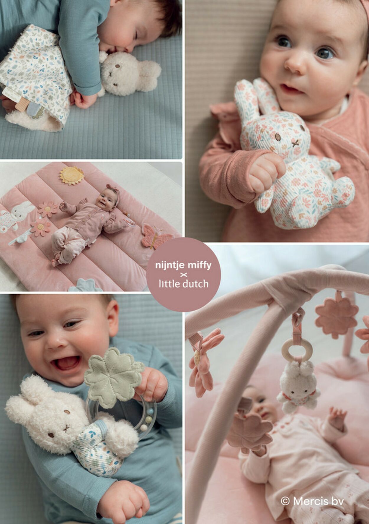 Folder Baby-Dump 17.11.2025 - 30.11.2025