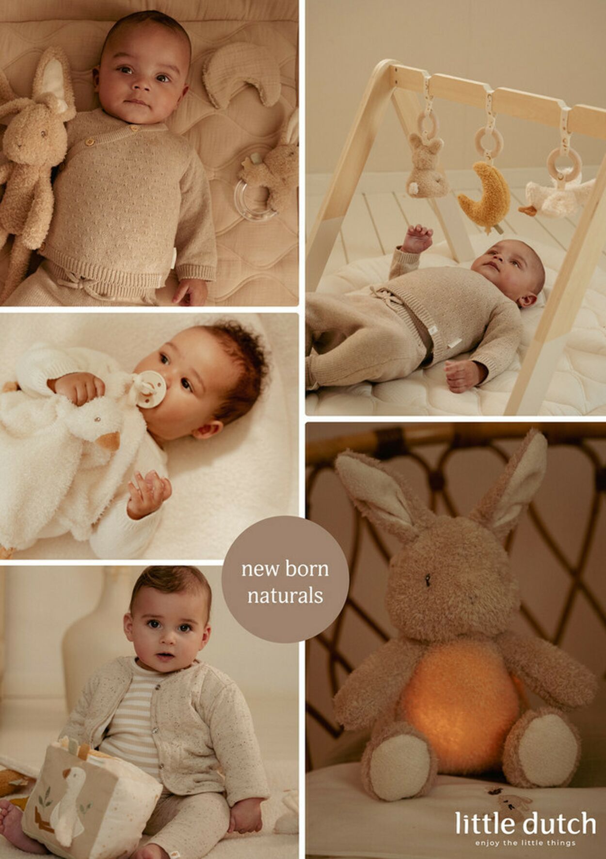 Folder Baby-Dump 09.12.2025 - 09.01.2026