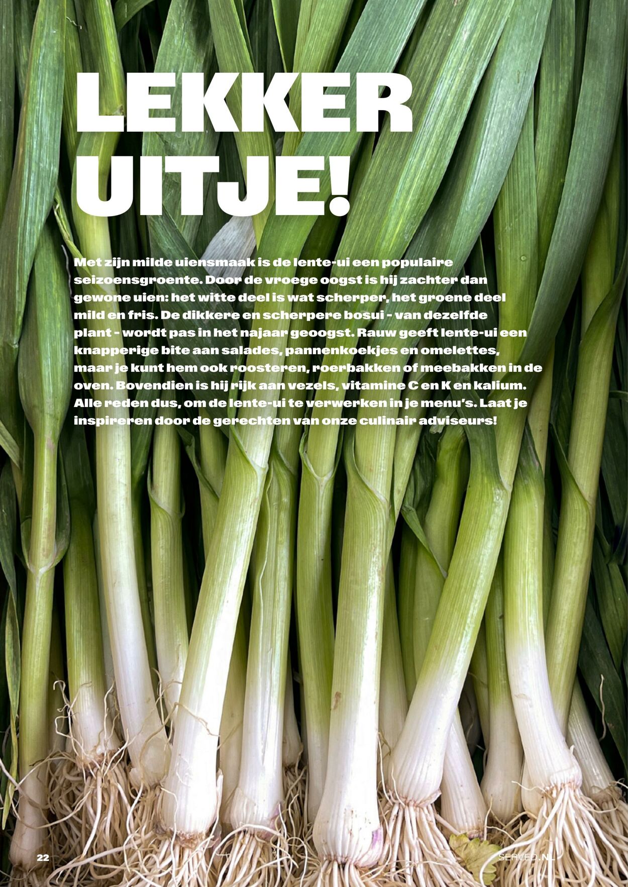 Folder Bidfood 13.04.2026 - 21.04.2026