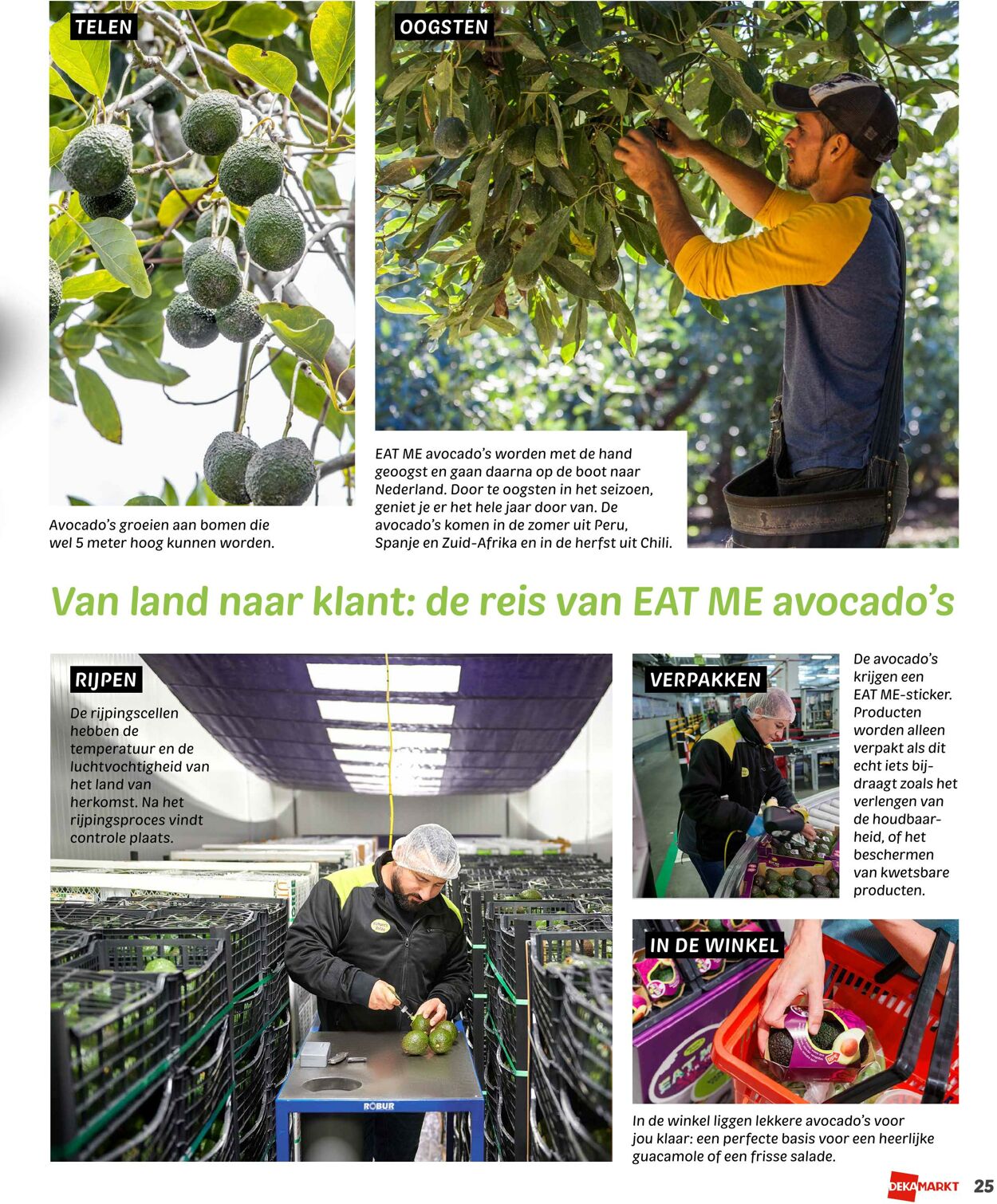Folder Dekamarkt 15.06.2025 - 21.06.2025