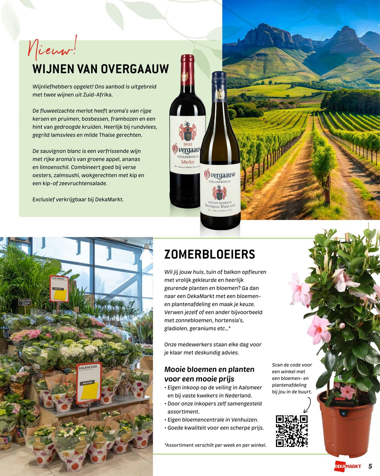 Folder Dekamarkt 15.06.2025 - 21.06.2025