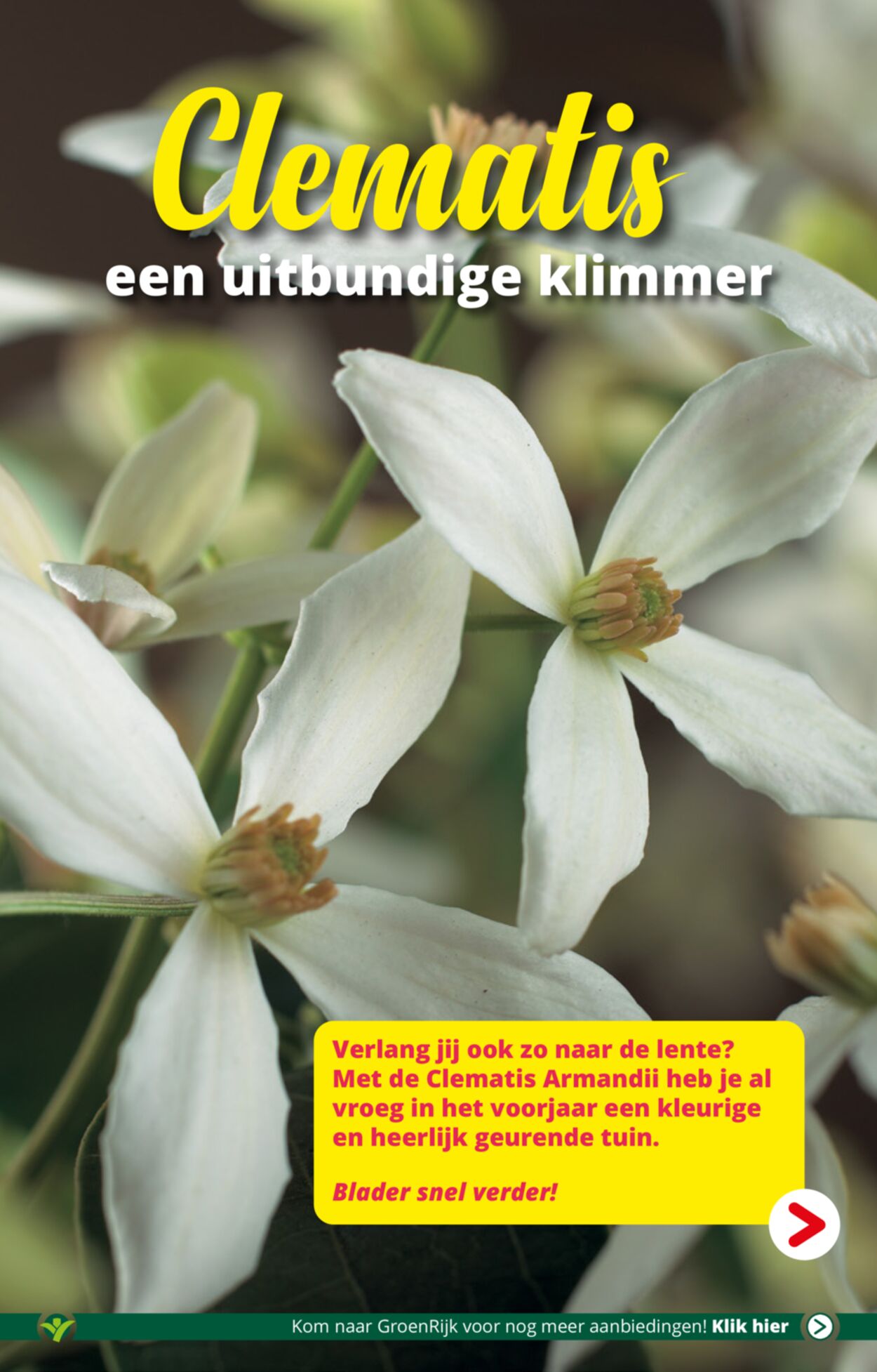 Folder Groenrijk 08.03.2023 - 21.03.2023