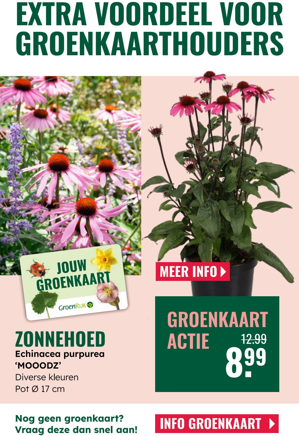 Folder Groenrijk 04.06.2025 - 17.06.2025