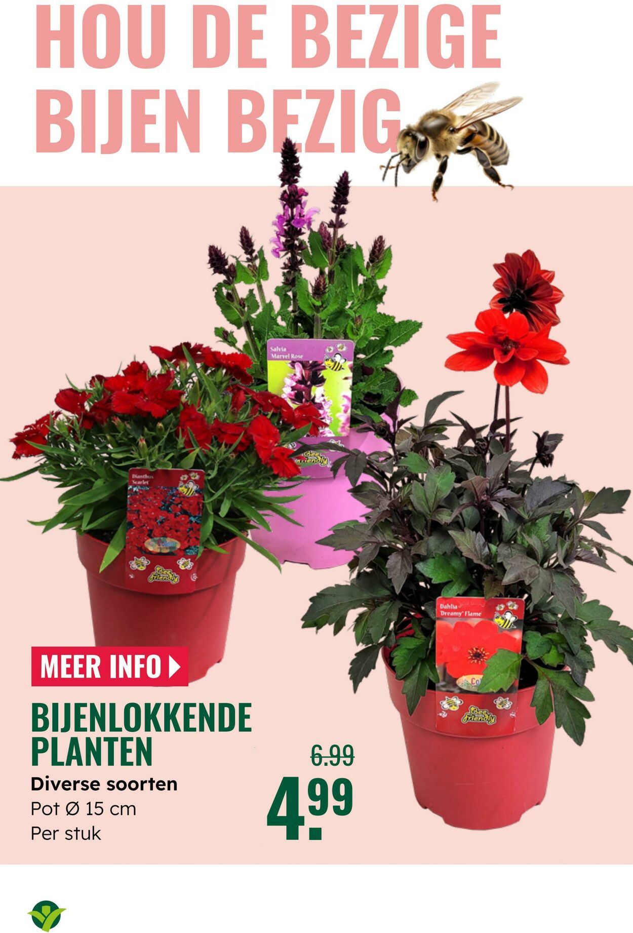 Folder Groenrijk 04.06.2025 - 17.06.2025