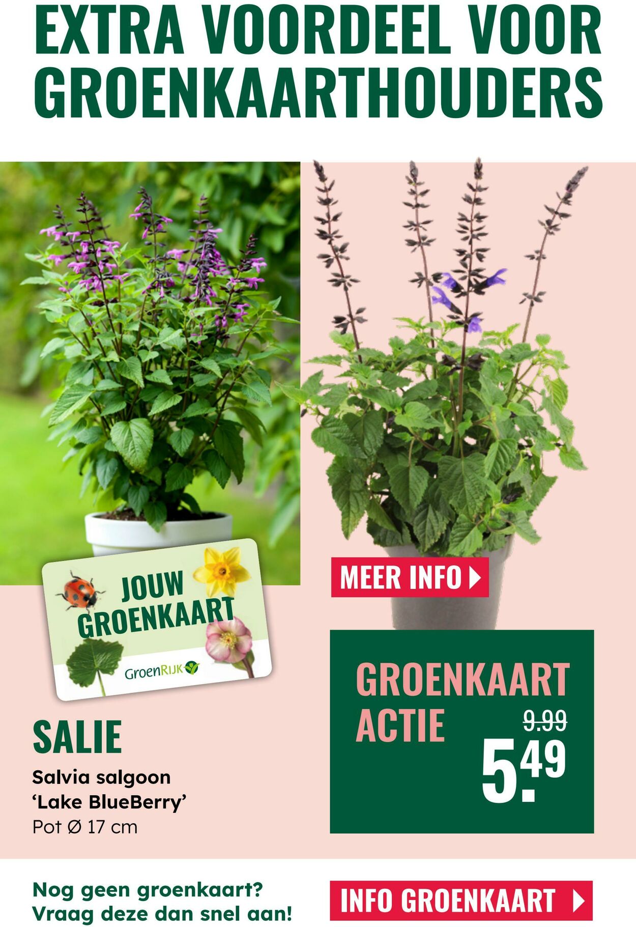 Folder Groenrijk 04.06.2025 - 17.06.2025