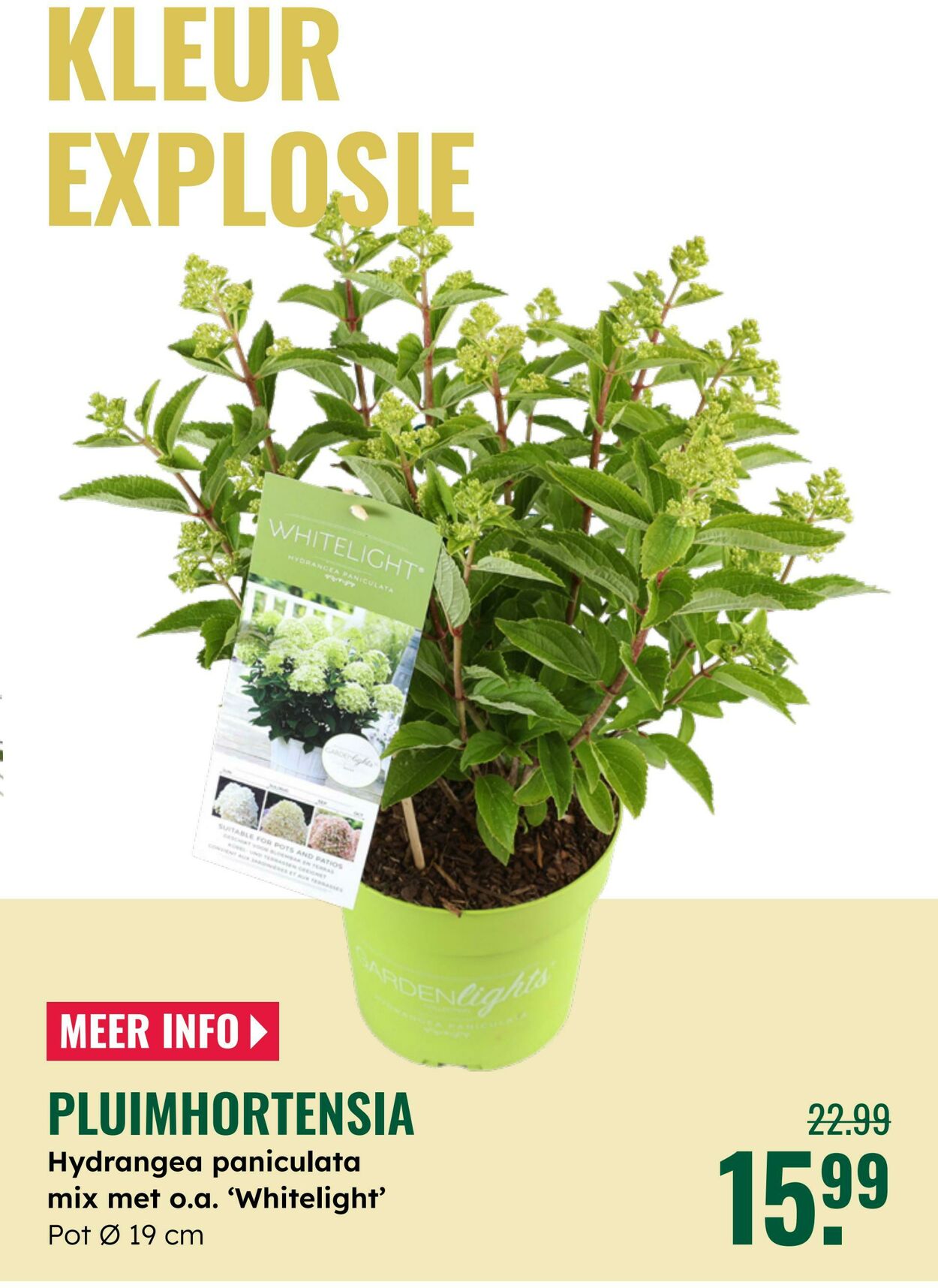 Folder Groenrijk 04.06.2025 - 17.06.2025