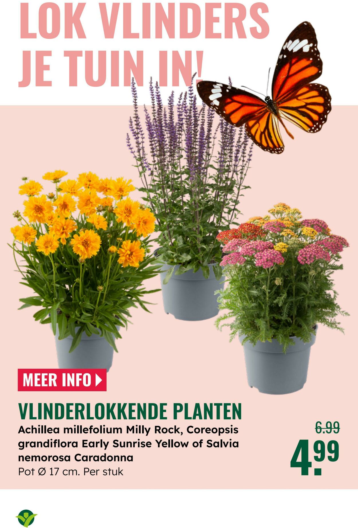 Folder Groenrijk 04.06.2025 - 17.06.2025