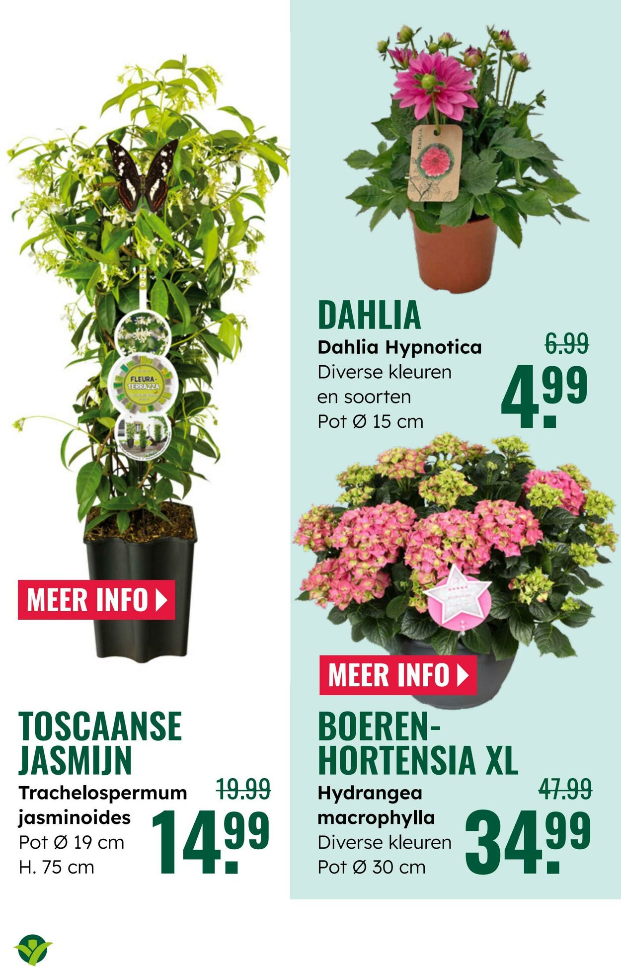 Folder Groenrijk 28.05.2025 - 03.06.2025
