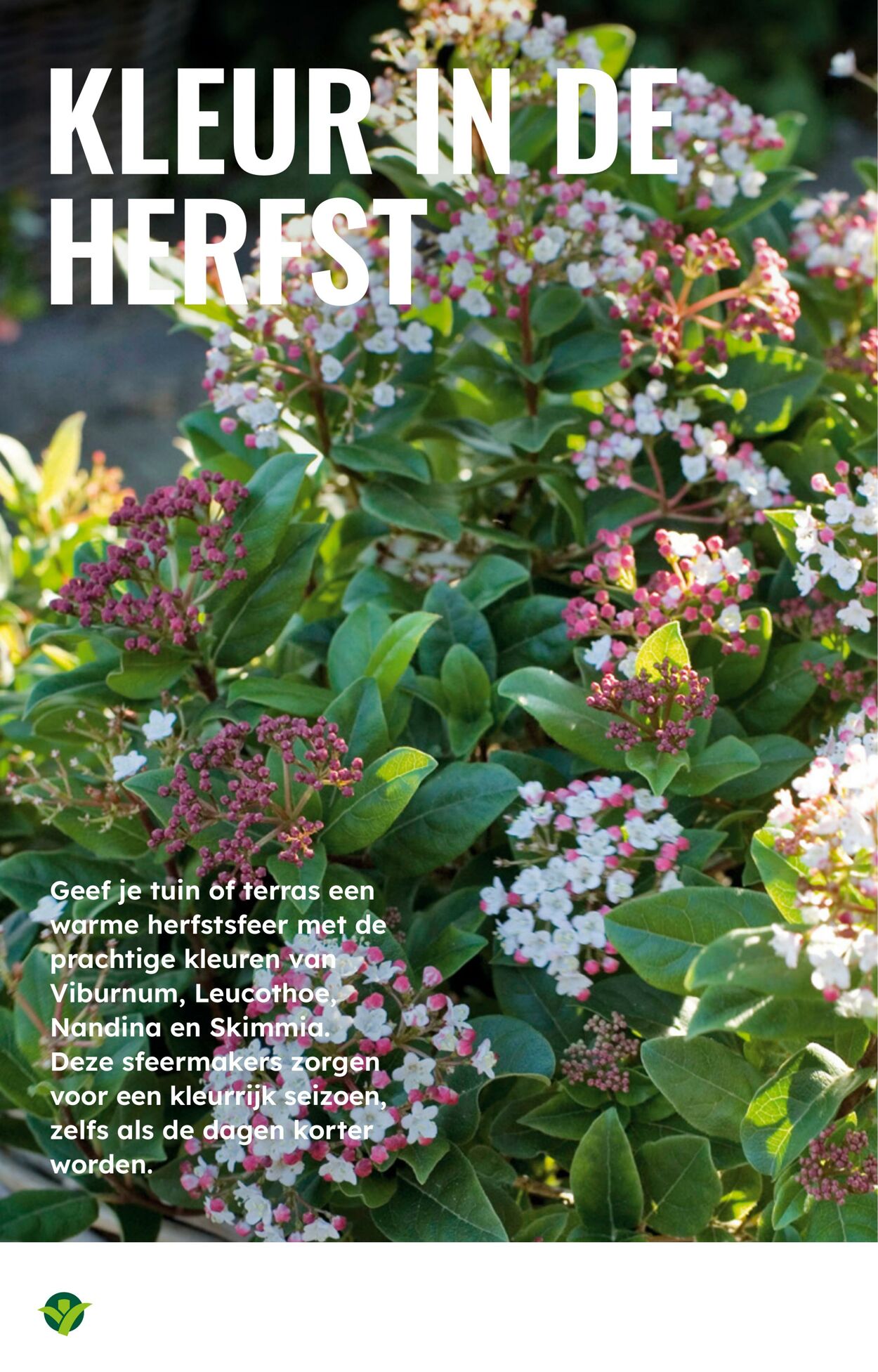Folder Groenrijk 22.10.2025 - 28.10.2025
