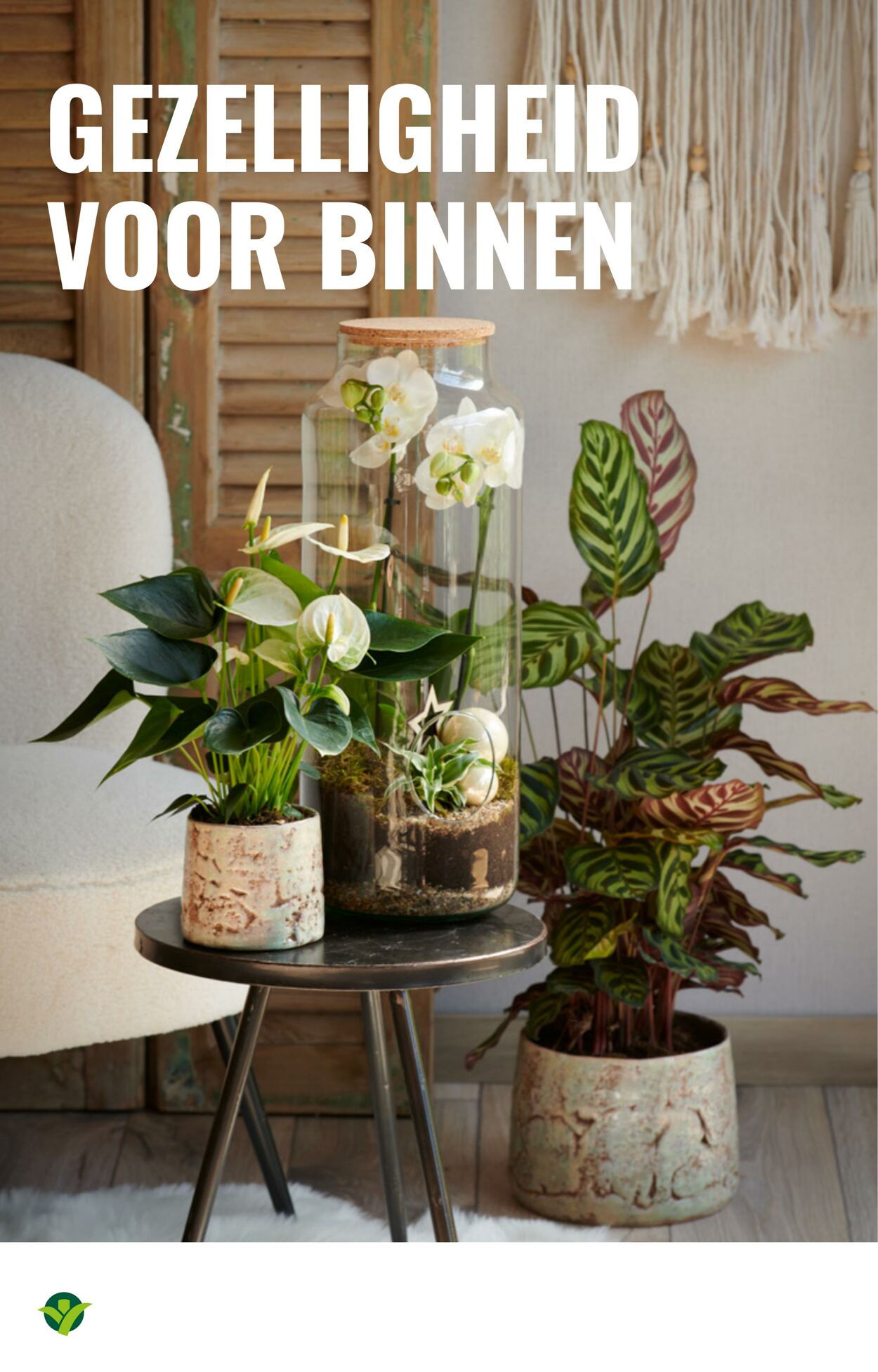 Folder Groenrijk 05.11.2025 - 11.11.2025