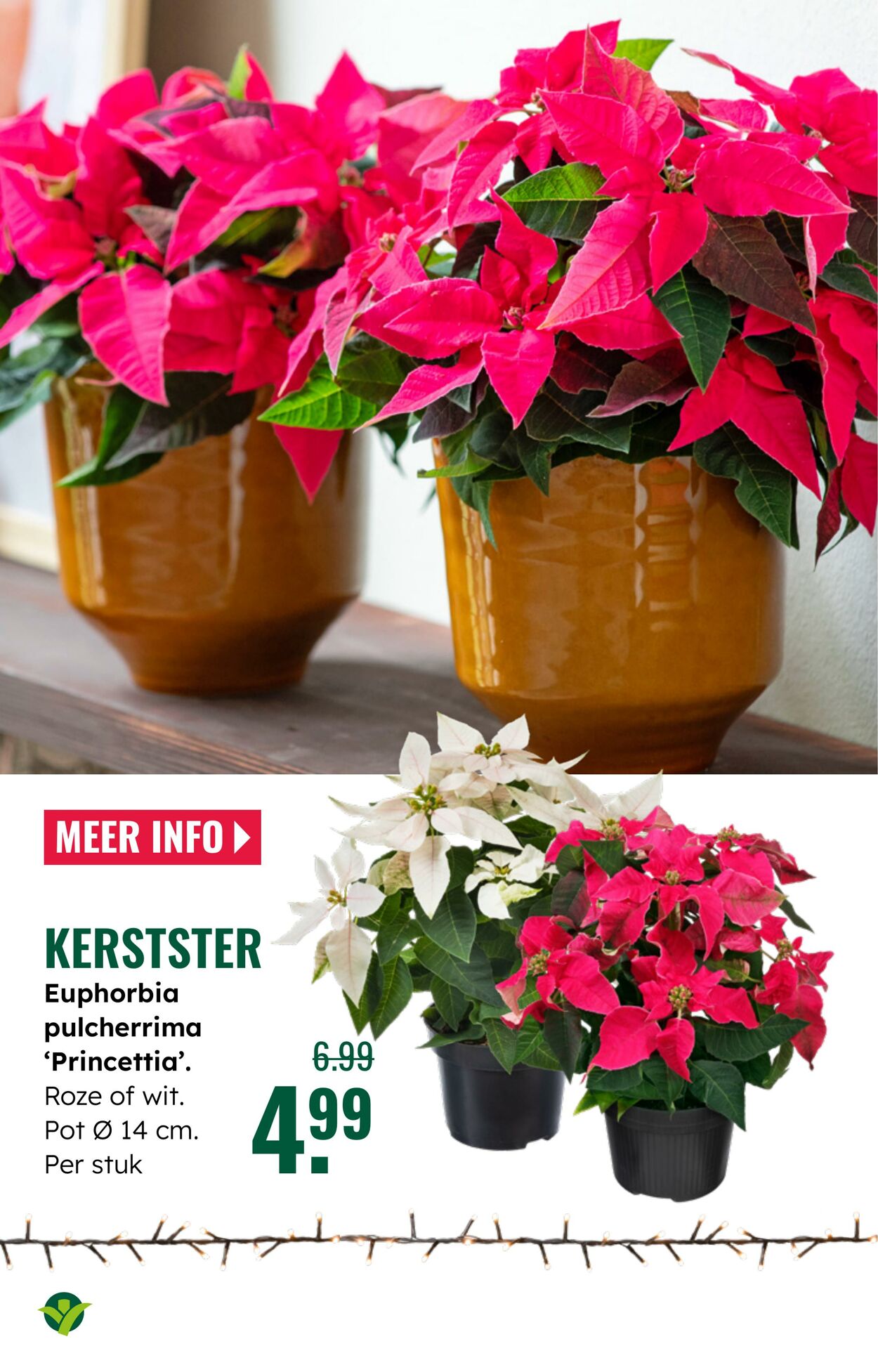 Folder Groenrijk 03.12.2025 - 09.12.2025