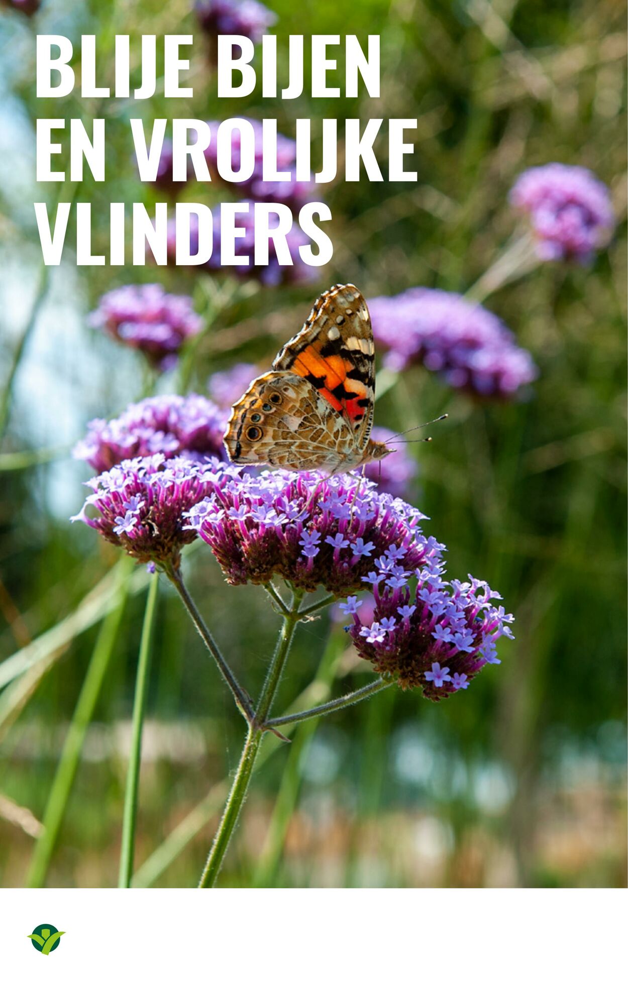 Folder Groenrijk 30.07.2025 - 12.08.2025