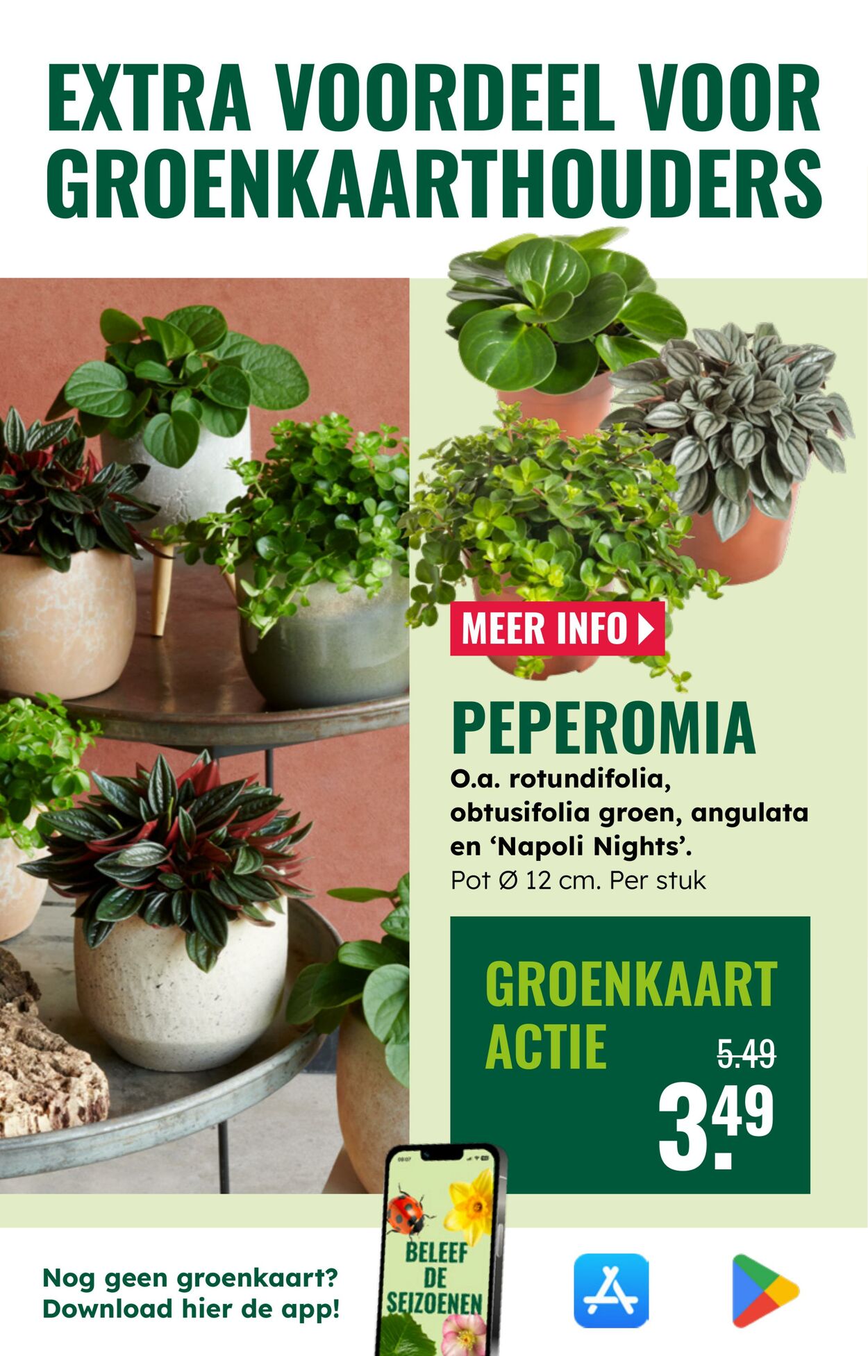 Folder Groenrijk 30.07.2025 - 12.08.2025