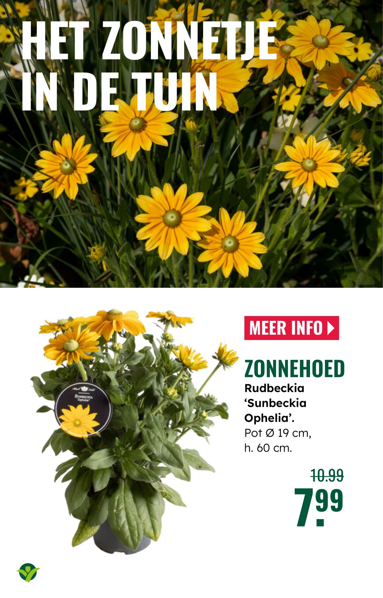 Folder Groenrijk 30.07.2025 - 12.08.2025