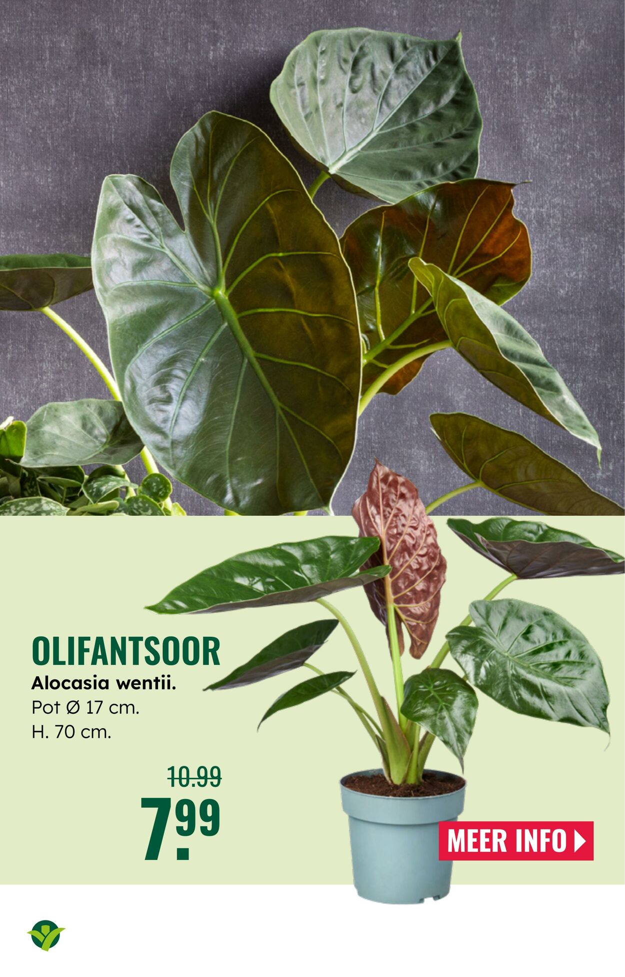 Folder Groenrijk 03.09.2025 - 09.09.2025