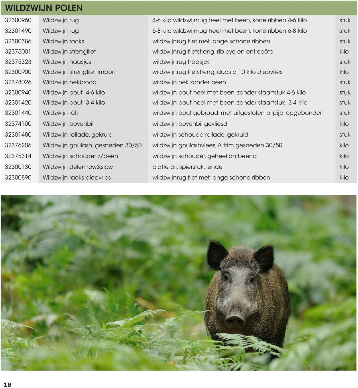 Folder Hanos 05.10.2025 - 12.09.2026
