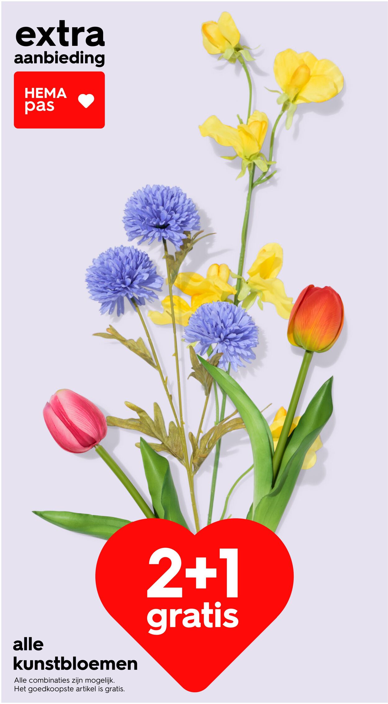 Folder Hema 23.03.2026 - 31.03.2026