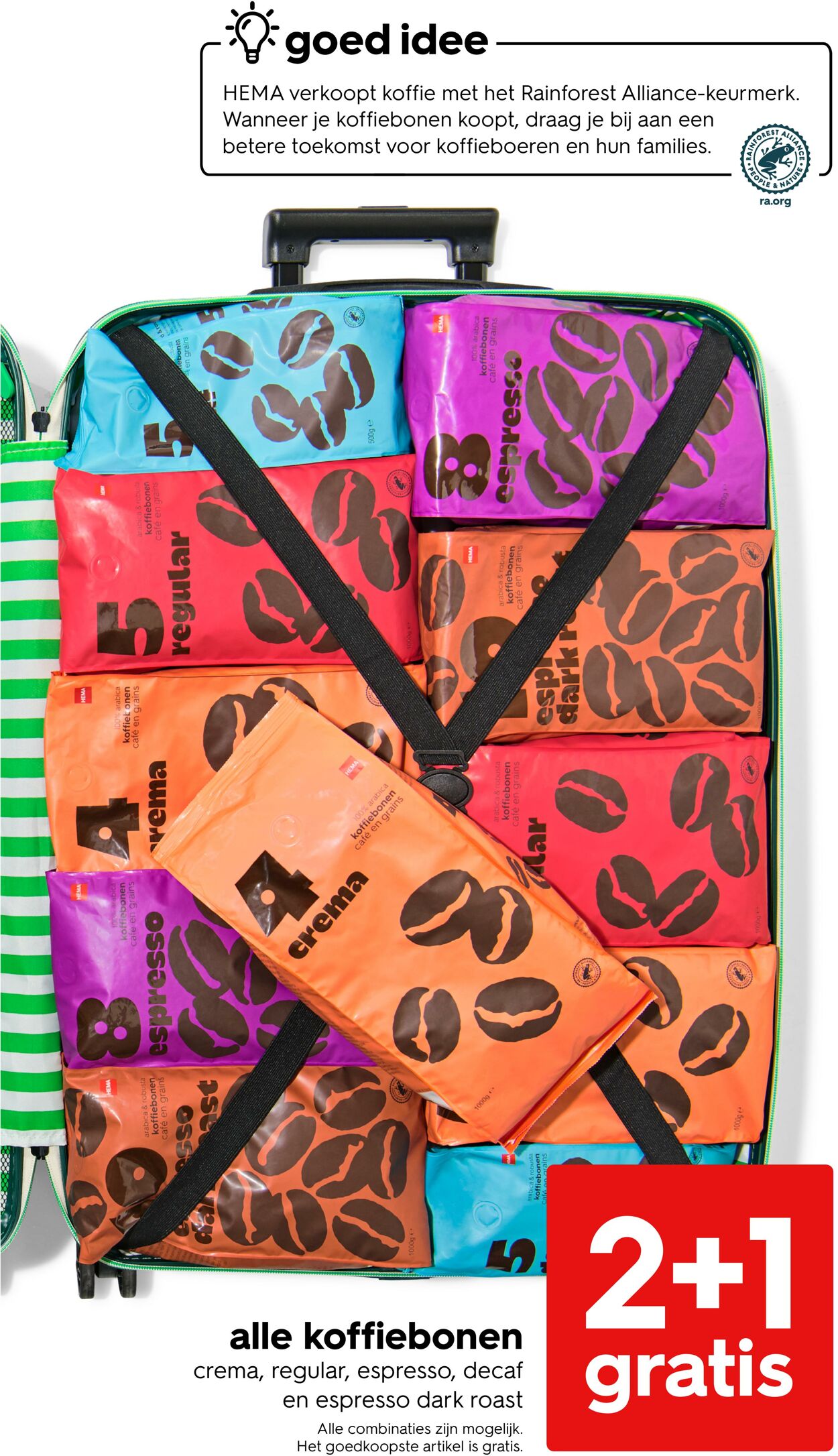 Folder Hema 02.06.2025 - 15.06.2025