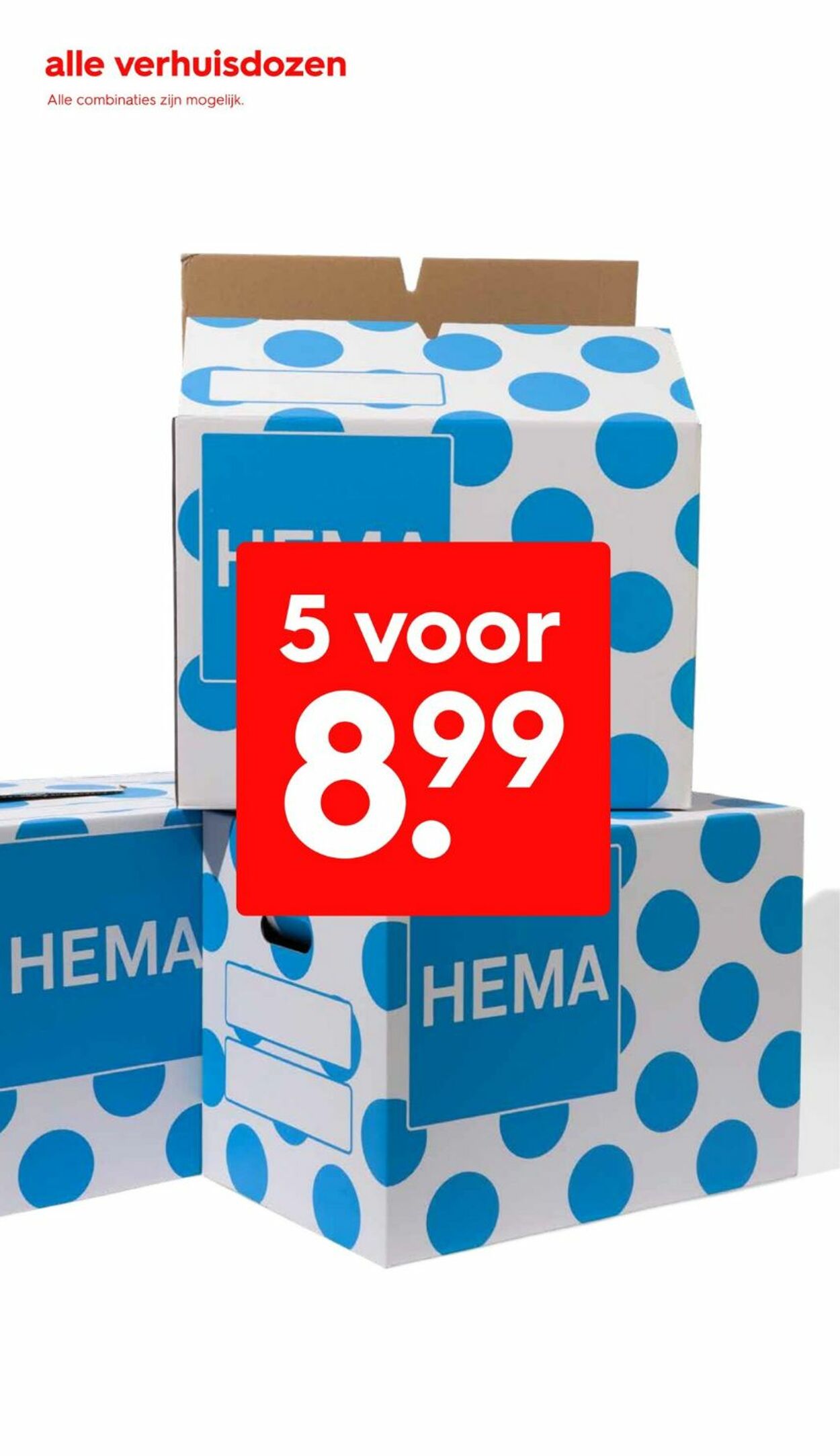 Folder Hema 12.08.2024 - 18.08.2024