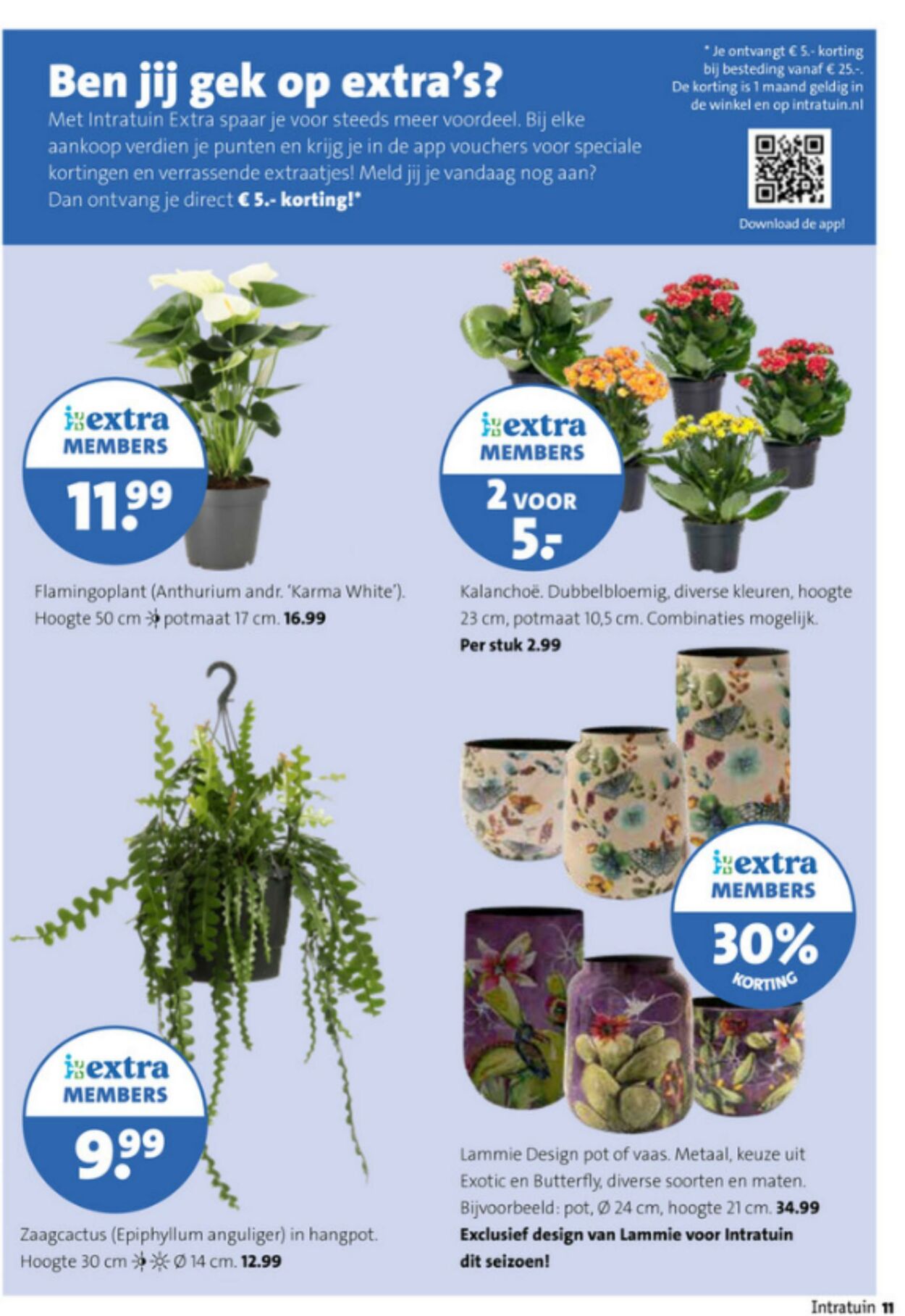 Folder Intratuin 29.12.2025 - 04.01.2026