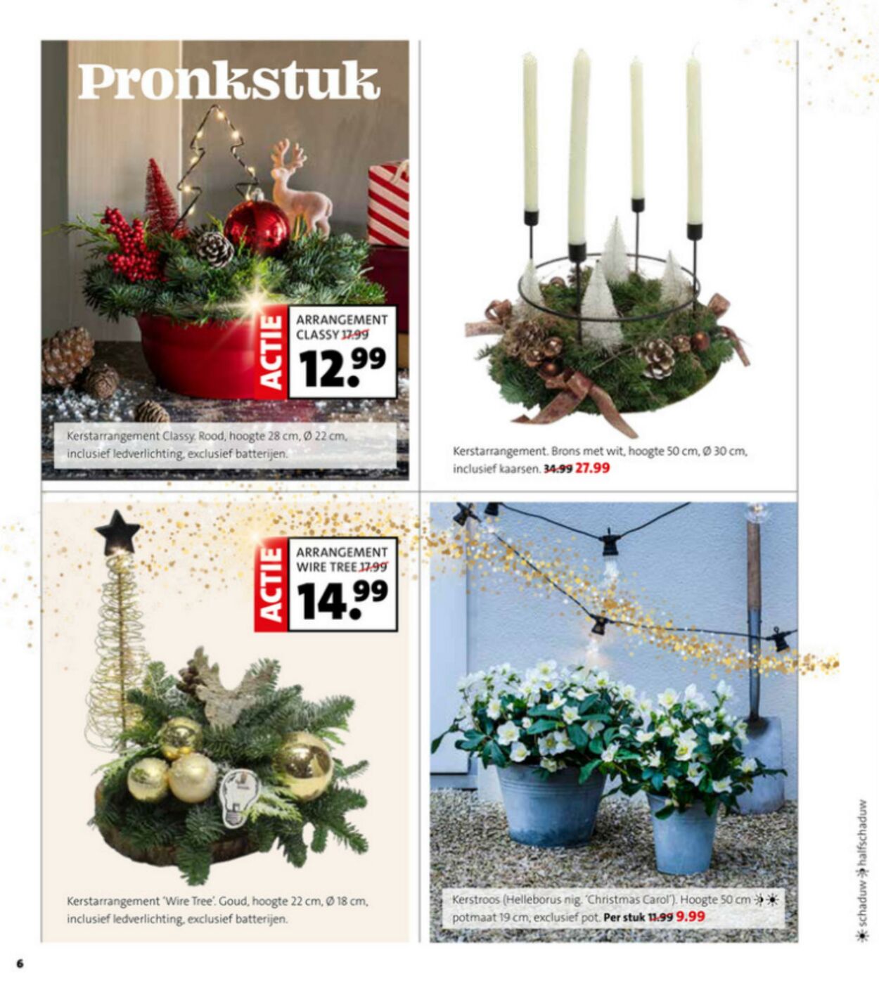 Folder Intratuin 08.12.2025 - 14.12.2025
