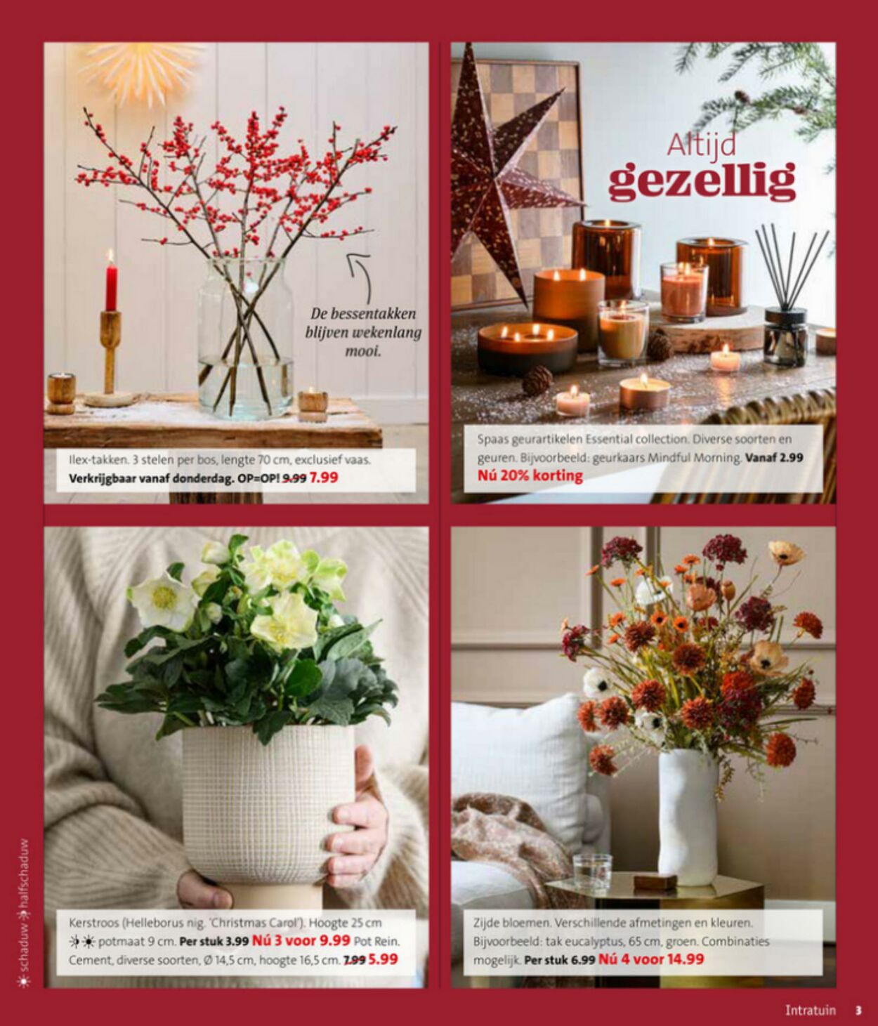 Folder Intratuin 08.12.2025 - 14.12.2025