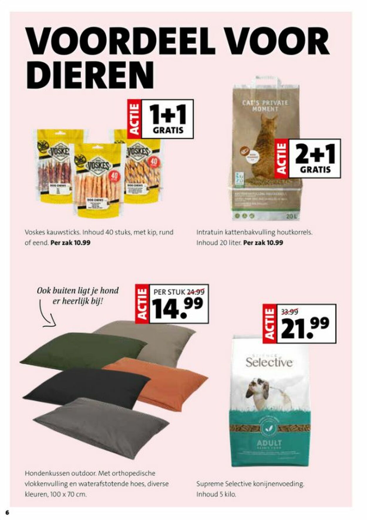 Folder Intratuin 09.06.2025 - 15.06.2025