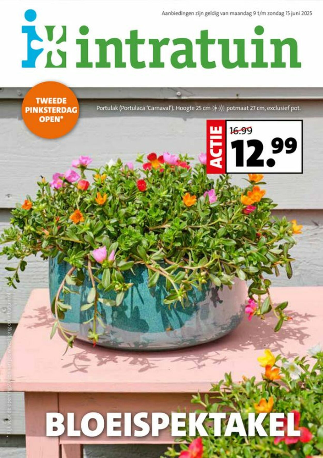 Folder Intratuin 09.06.2025 - 15.06.2025