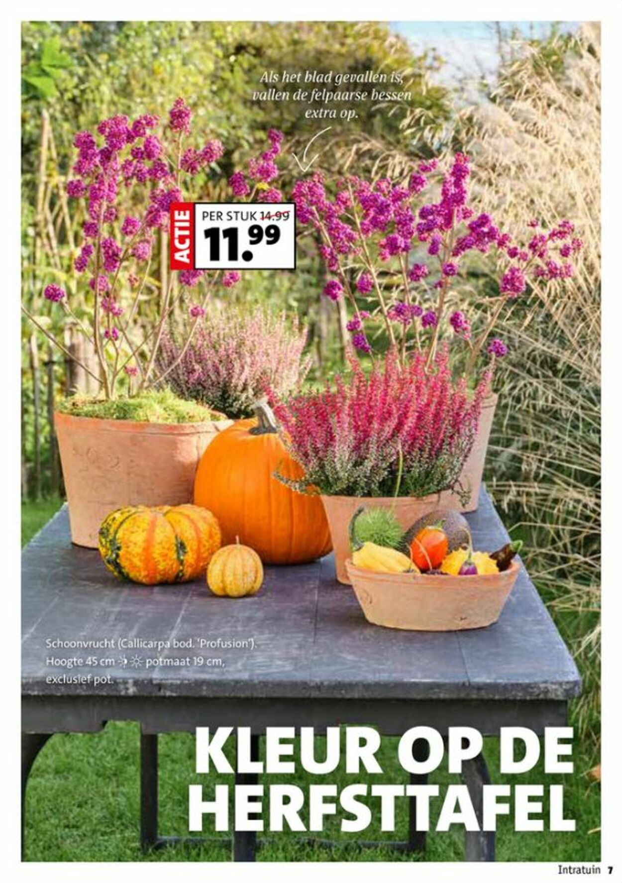 Folder Intratuin 29.09.2025 - 05.10.2025