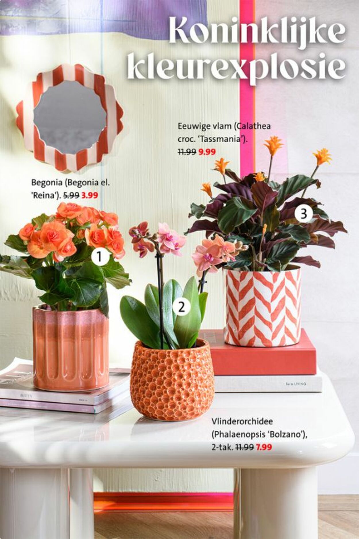 Folder Intratuin 19.04.2026 - 27.04.2026