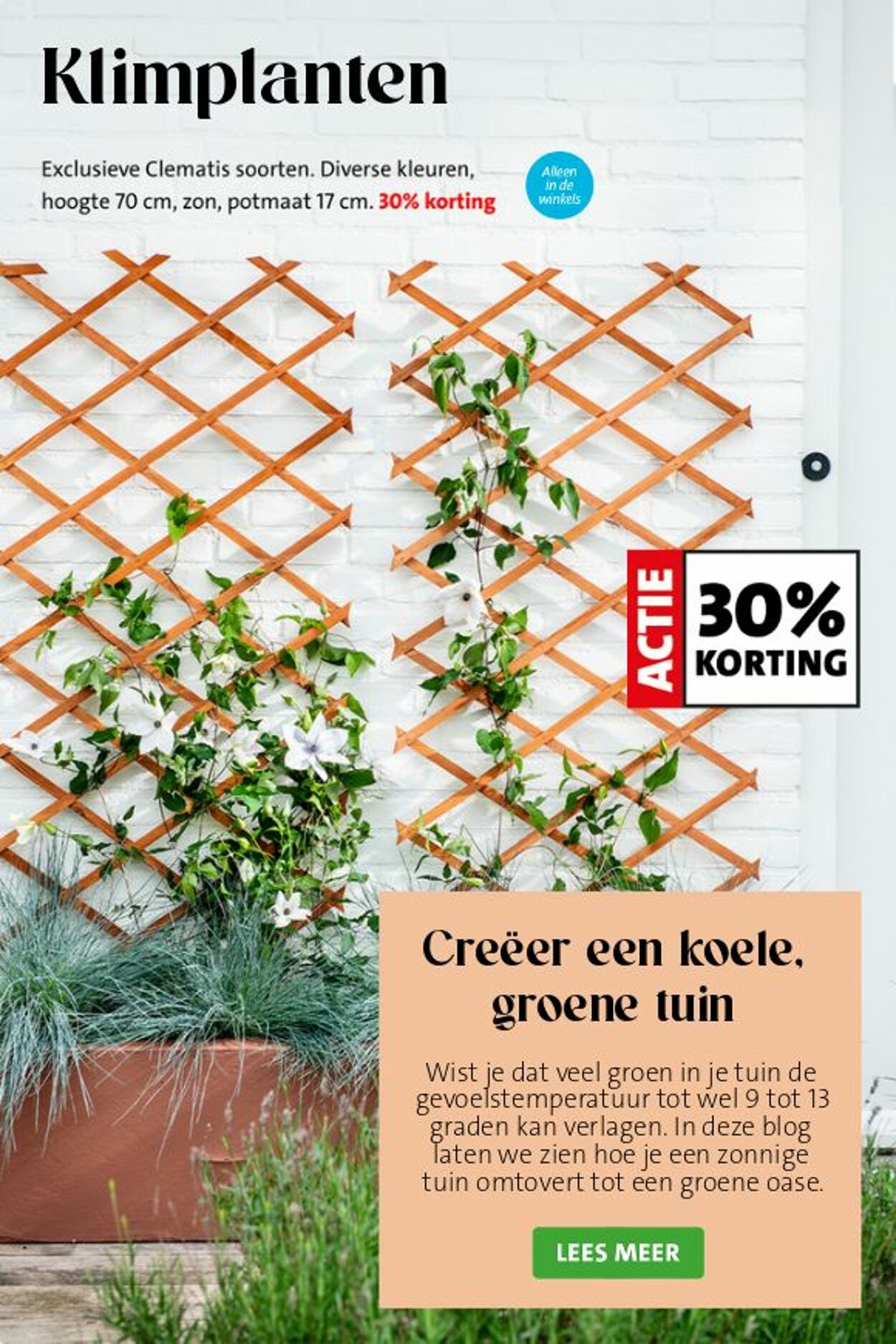 Folder Intratuin 19.04.2026 - 27.04.2026